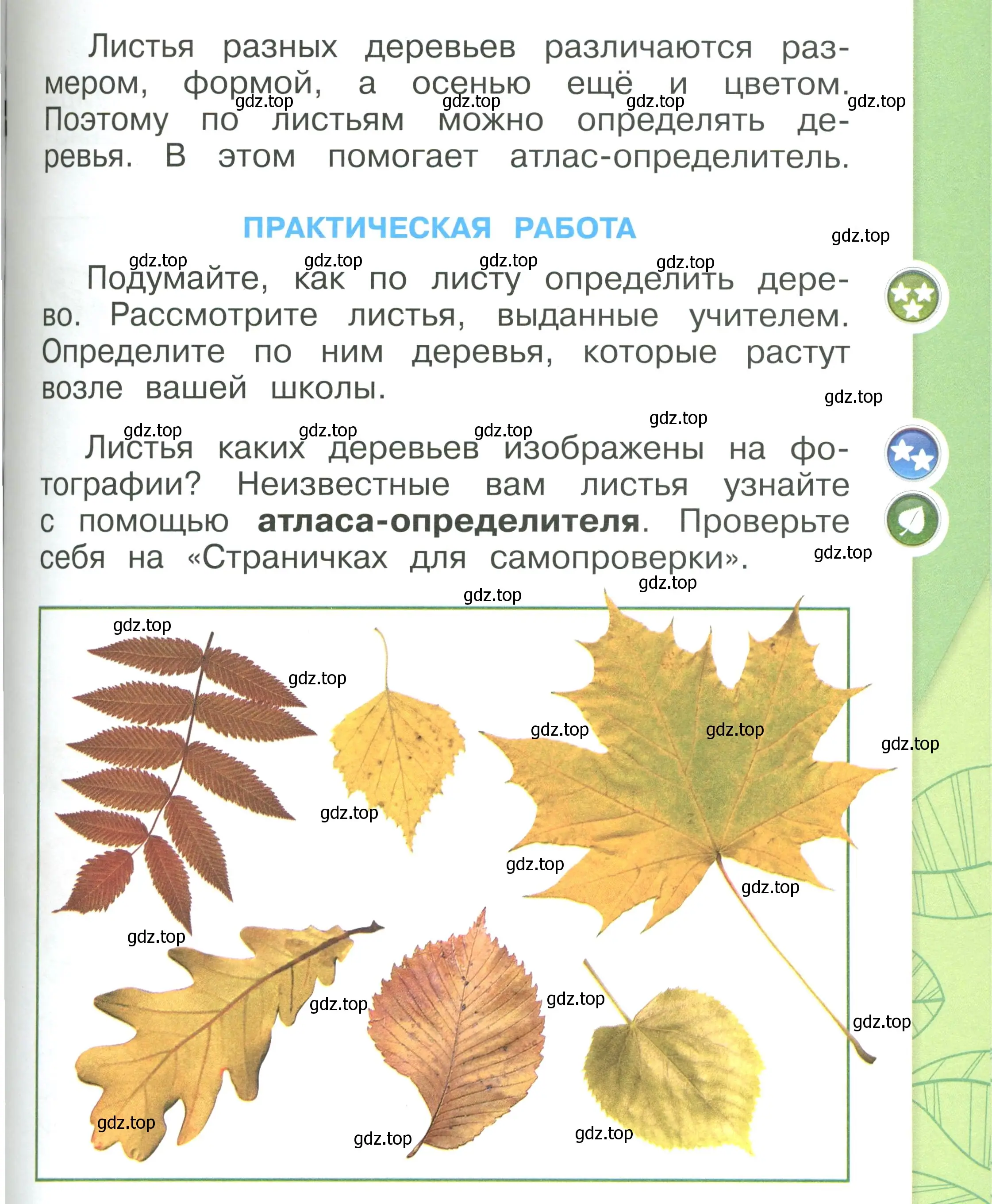 Условие номер 65 (страница 65) гдз по окружающему миру 1 класс Плешаков, учебник 1 часть