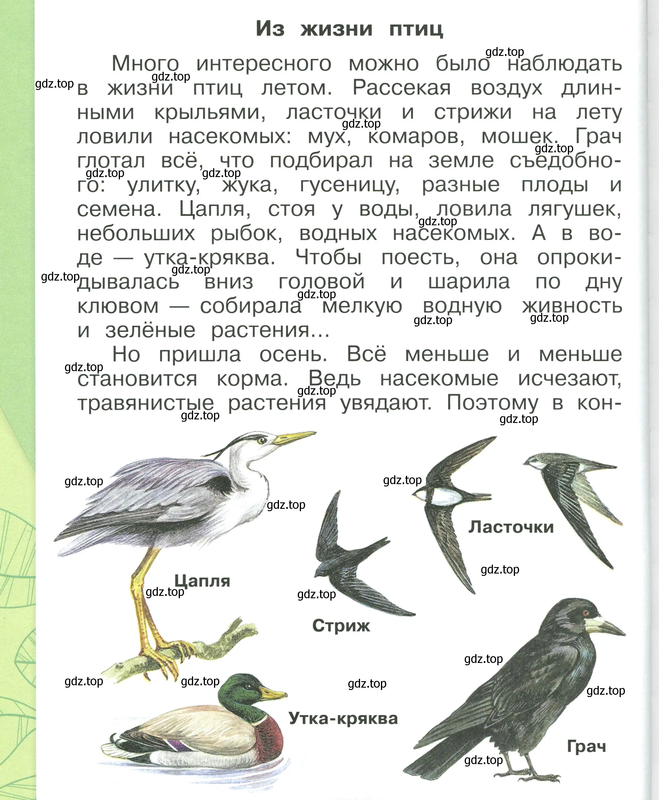 Условие номер 68 (страница 68) гдз по окружающему миру 1 класс Плешаков, учебник 1 часть