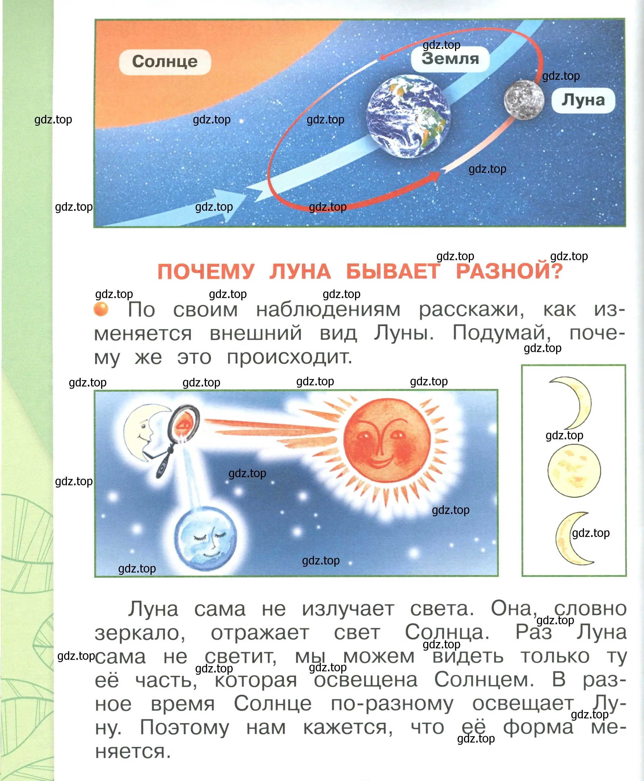 Условие номер 78 (страница 78) гдз по окружающему миру 1 класс Плешаков, учебник 1 часть