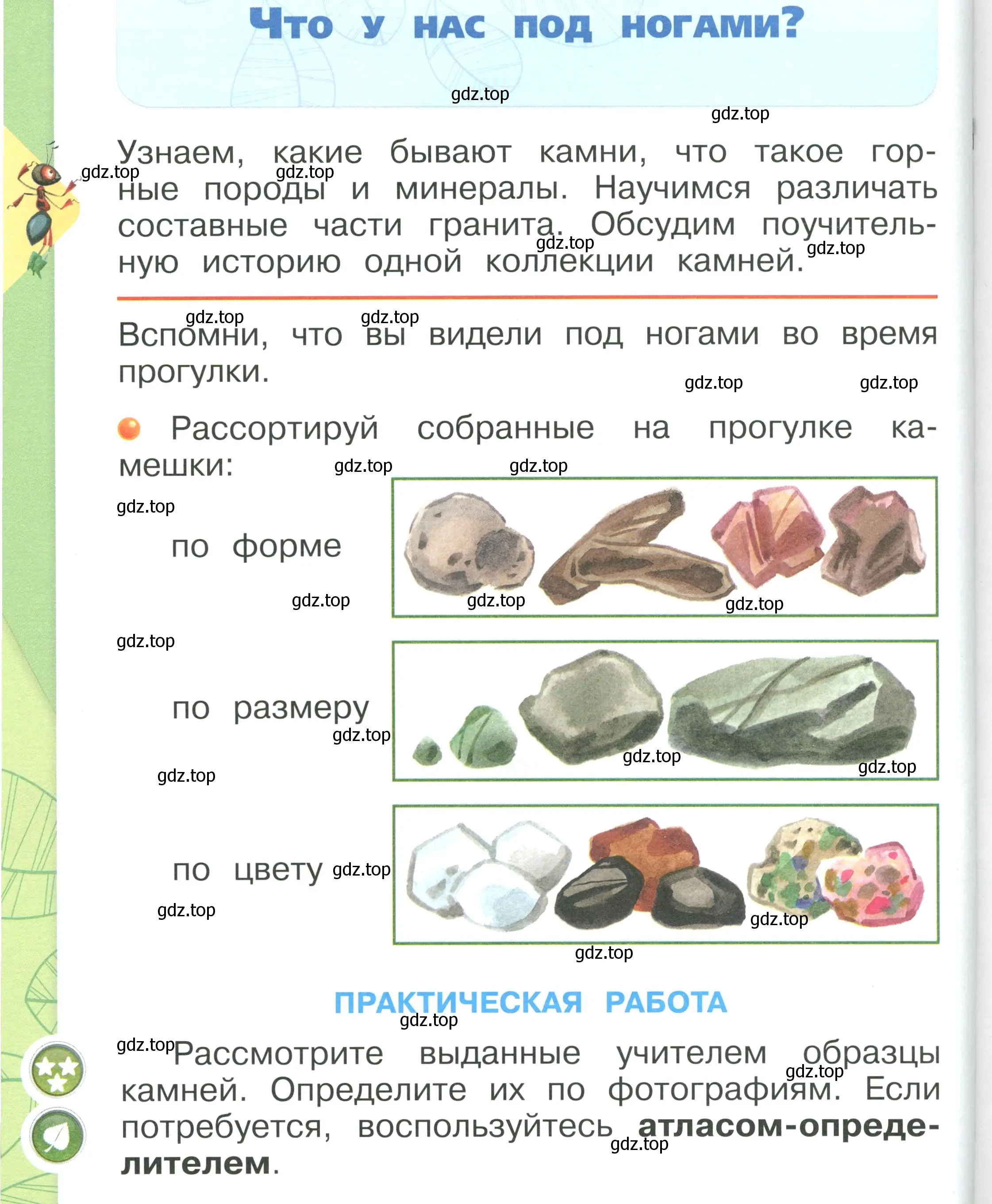 Условие номер 80 (страница 80) гдз по окружающему миру 1 класс Плешаков, учебник 1 часть