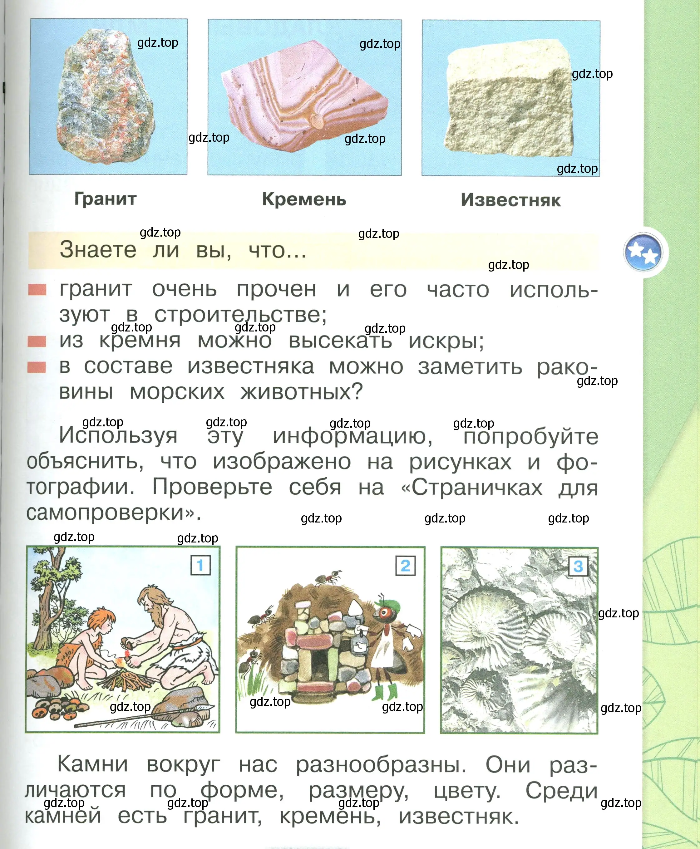 Условие номер 81 (страница 81) гдз по окружающему миру 1 класс Плешаков, учебник 1 часть