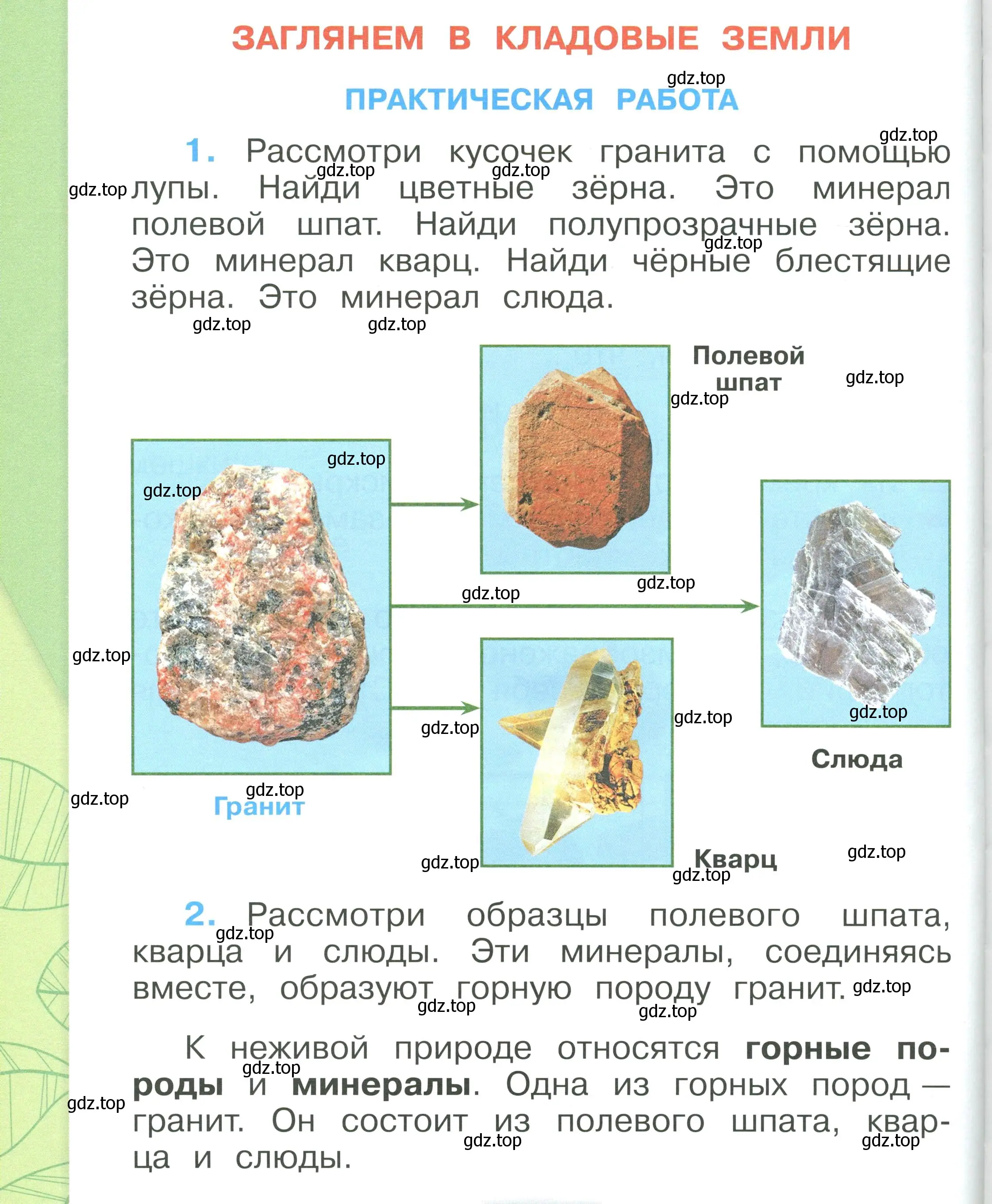 Условие номер 82 (страница 82) гдз по окружающему миру 1 класс Плешаков, учебник 1 часть