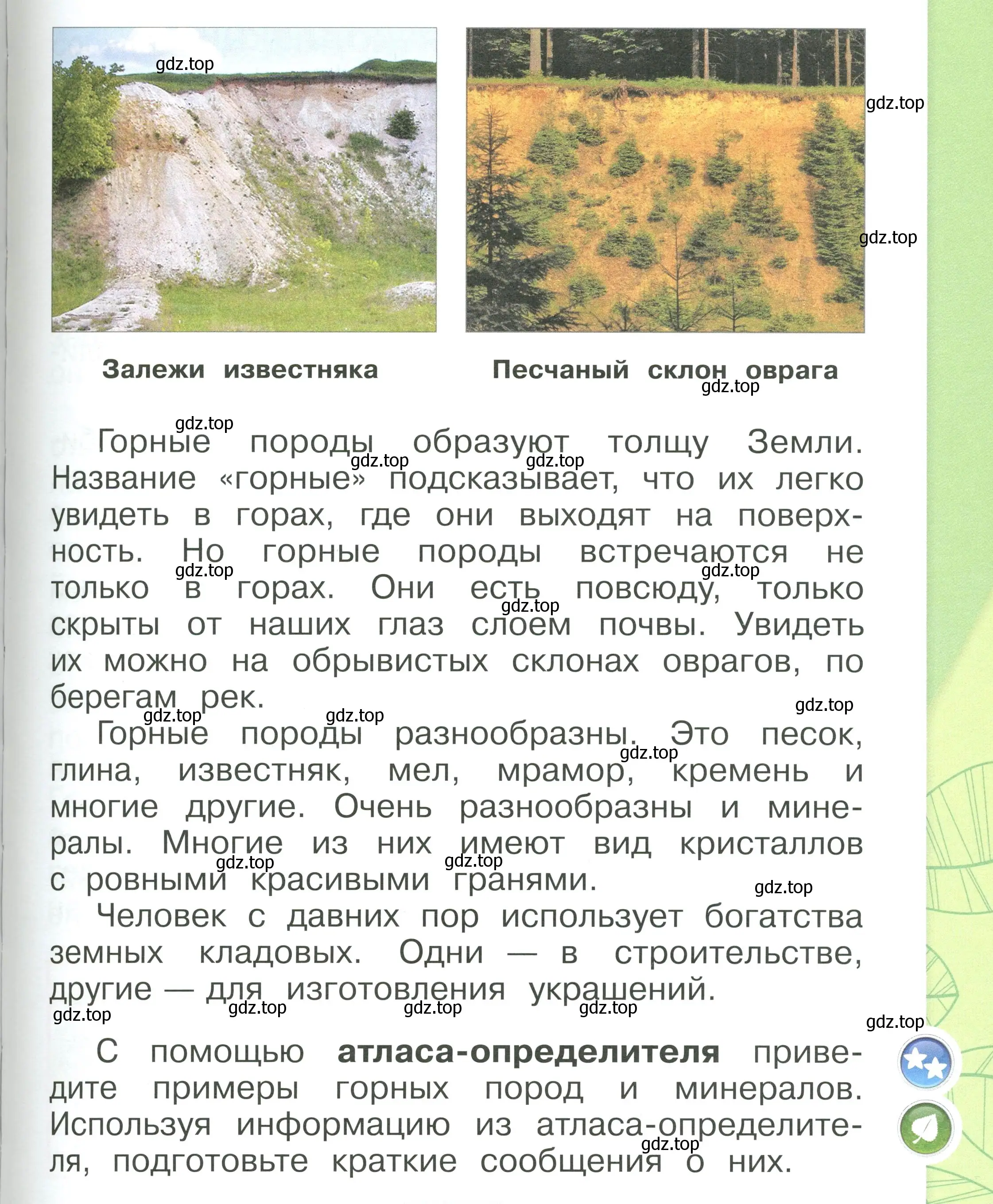 Условие номер 83 (страница 83) гдз по окружающему миру 1 класс Плешаков, учебник 1 часть