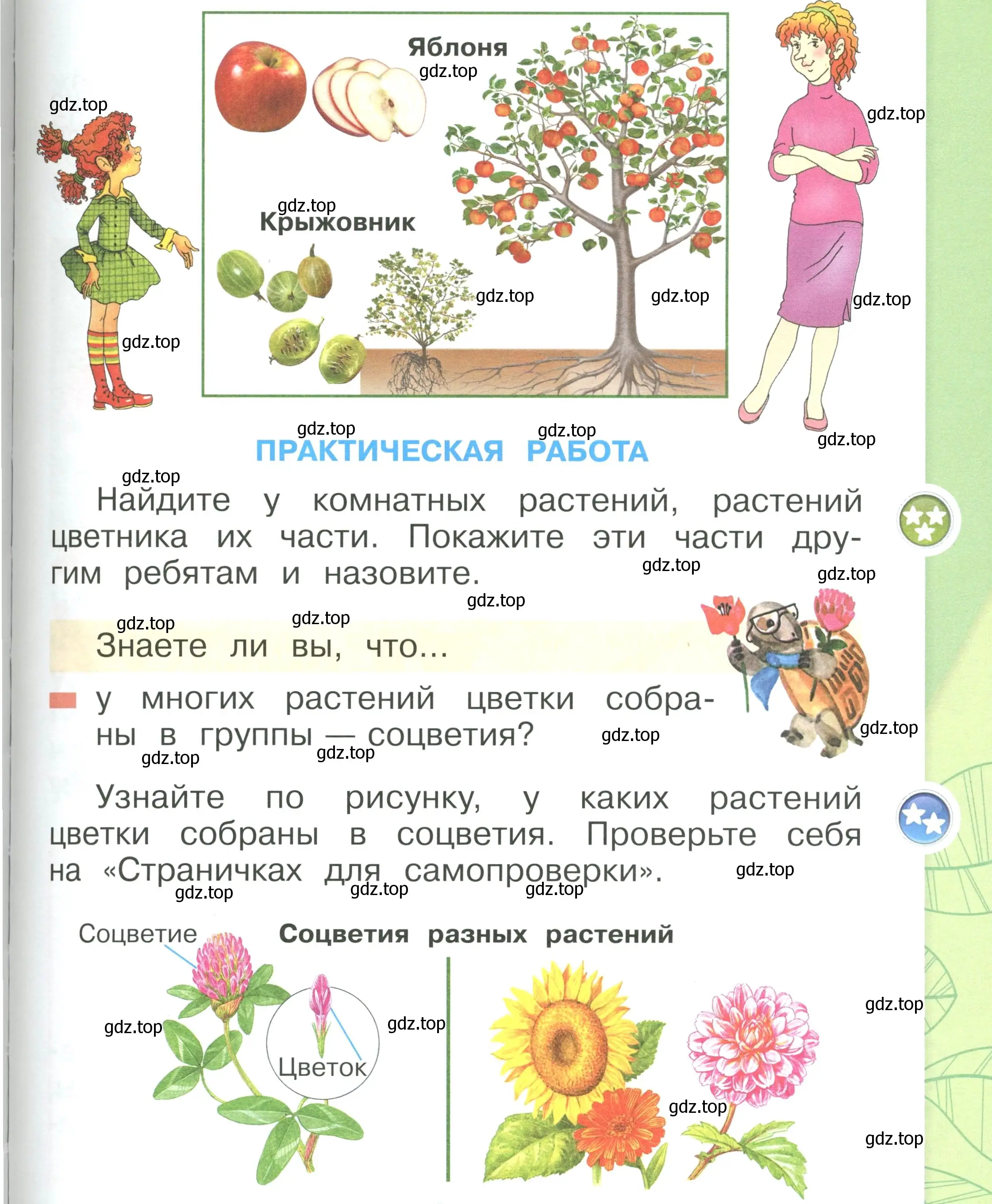 Условие номер 95 (страница 95) гдз по окружающему миру 1 класс Плешаков, учебник 1 часть