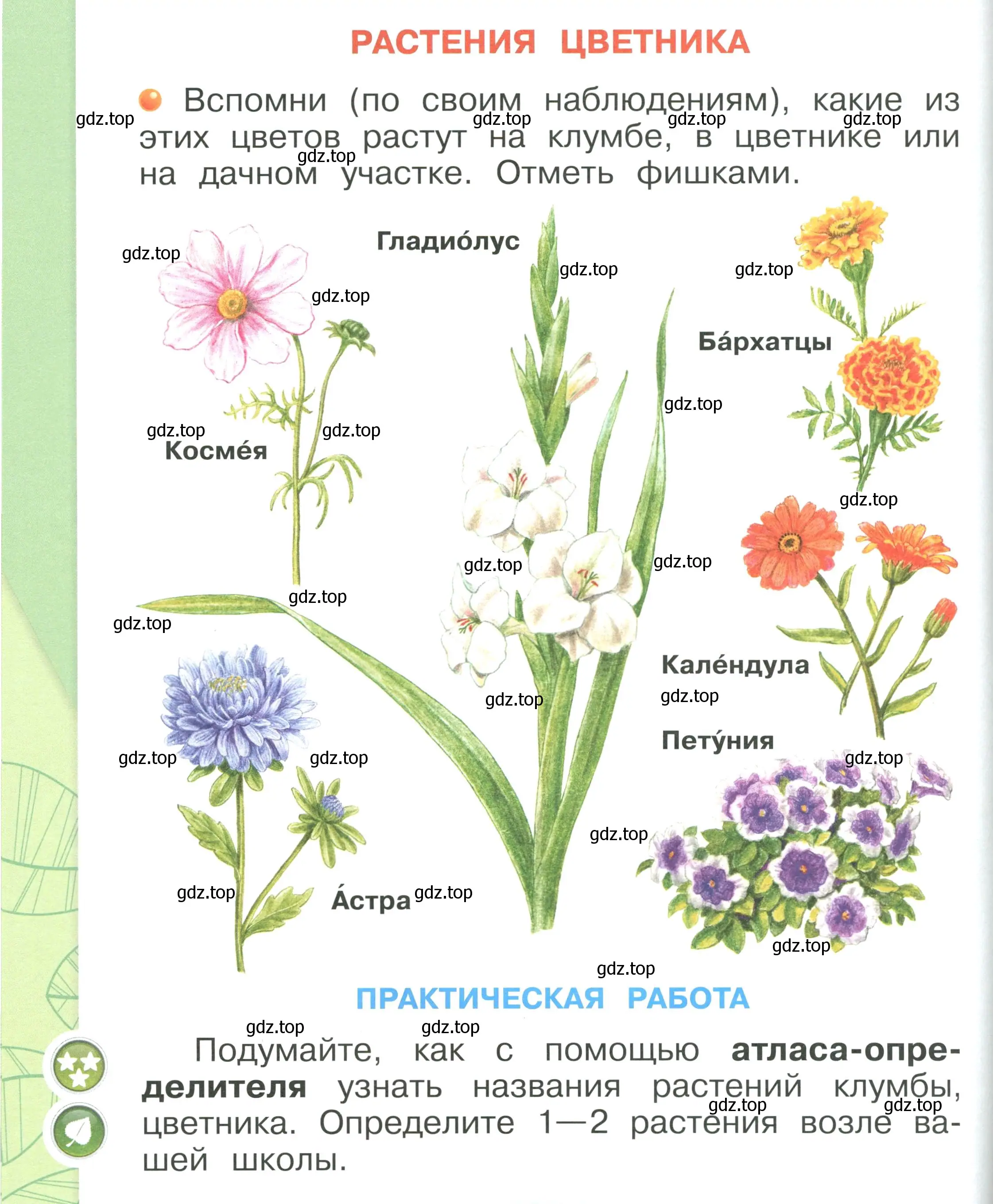 Условие номер 96 (страница 96) гдз по окружающему миру 1 класс Плешаков, учебник 1 часть