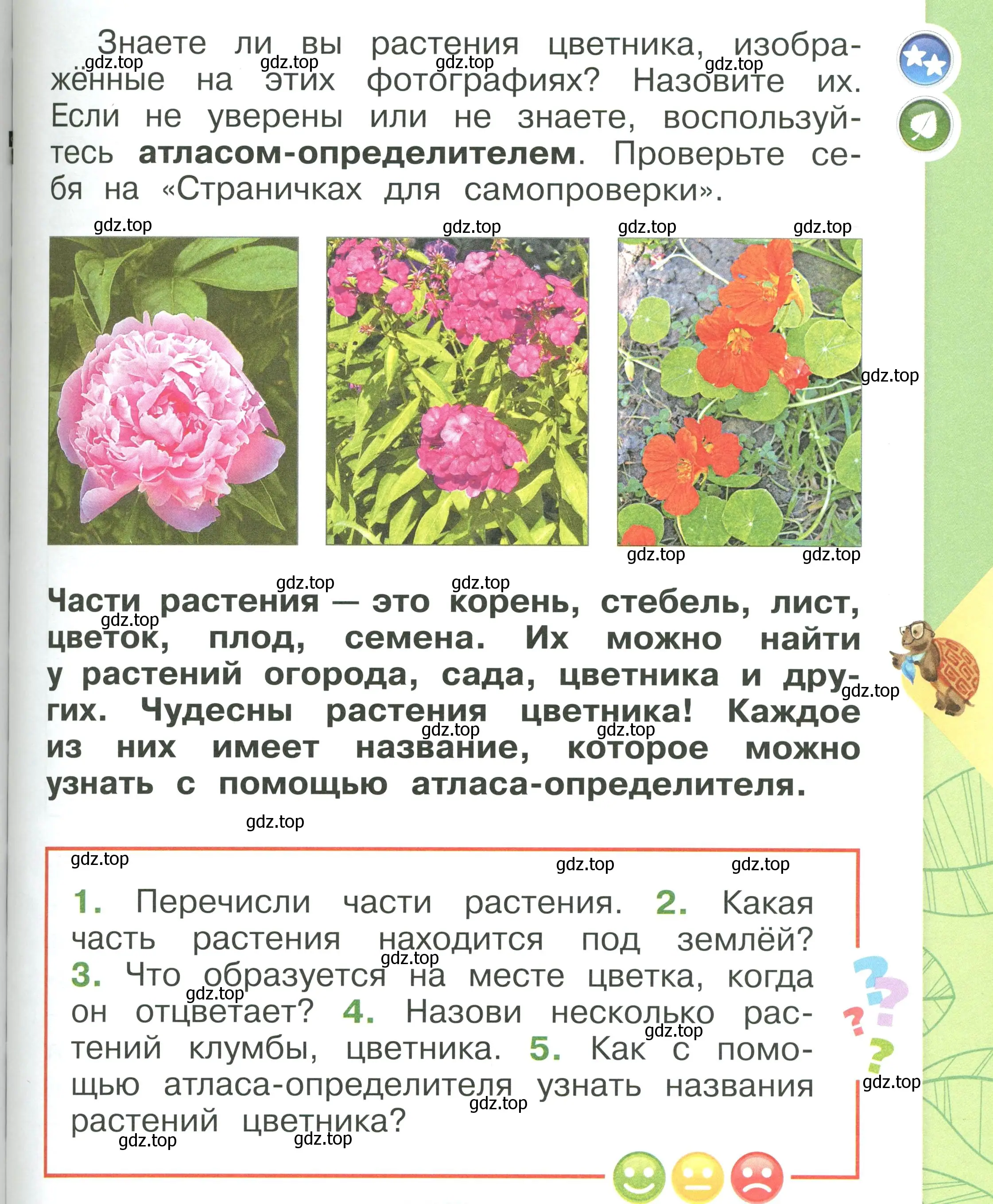 Условие номер 97 (страница 97) гдз по окружающему миру 1 класс Плешаков, учебник 1 часть