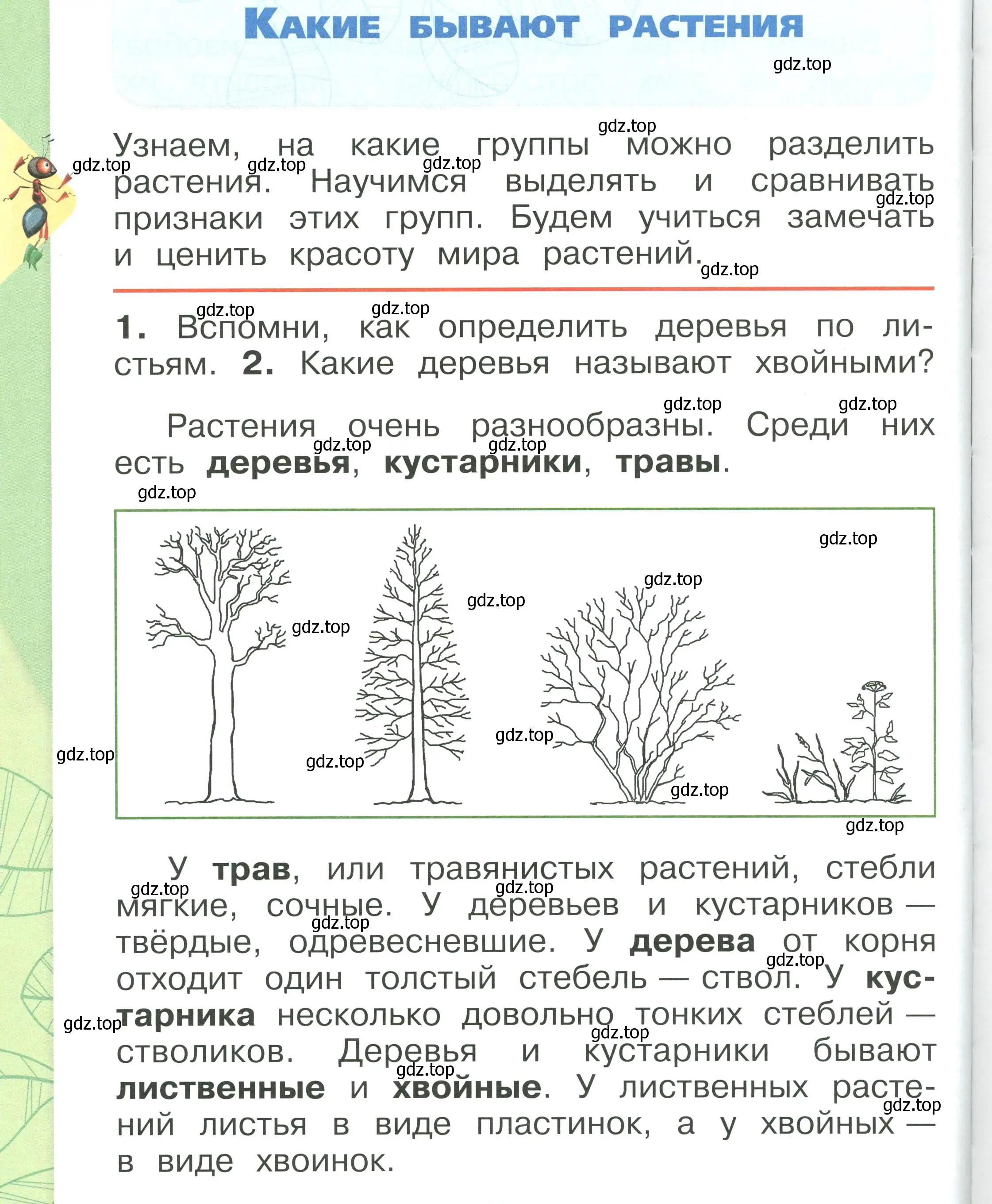 Условие номер 98 (страница 98) гдз по окружающему миру 1 класс Плешаков, учебник 1 часть