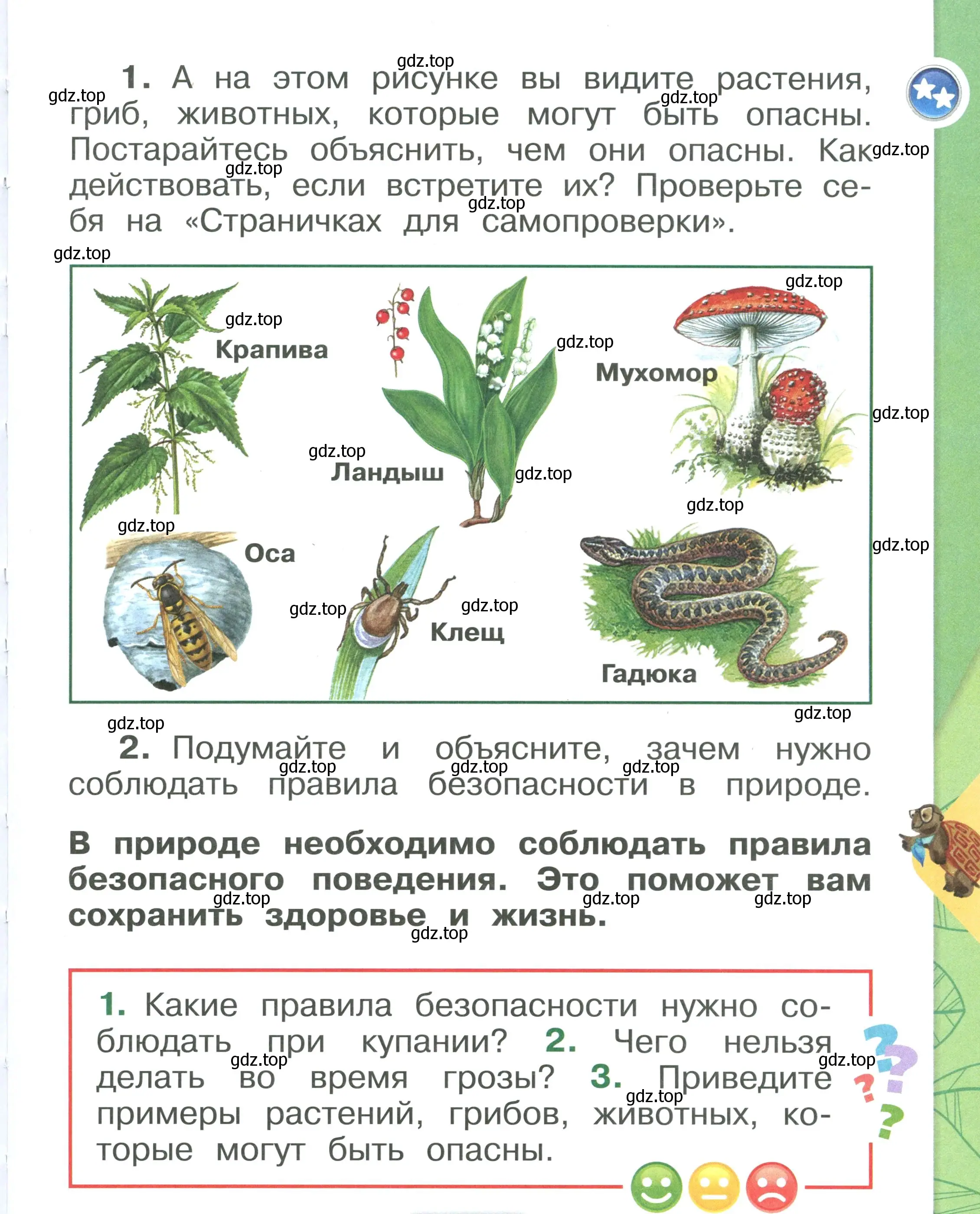 Условие номер 11 (страница 11) гдз по окружающему миру 1 класс Плешаков, учебник 2 часть