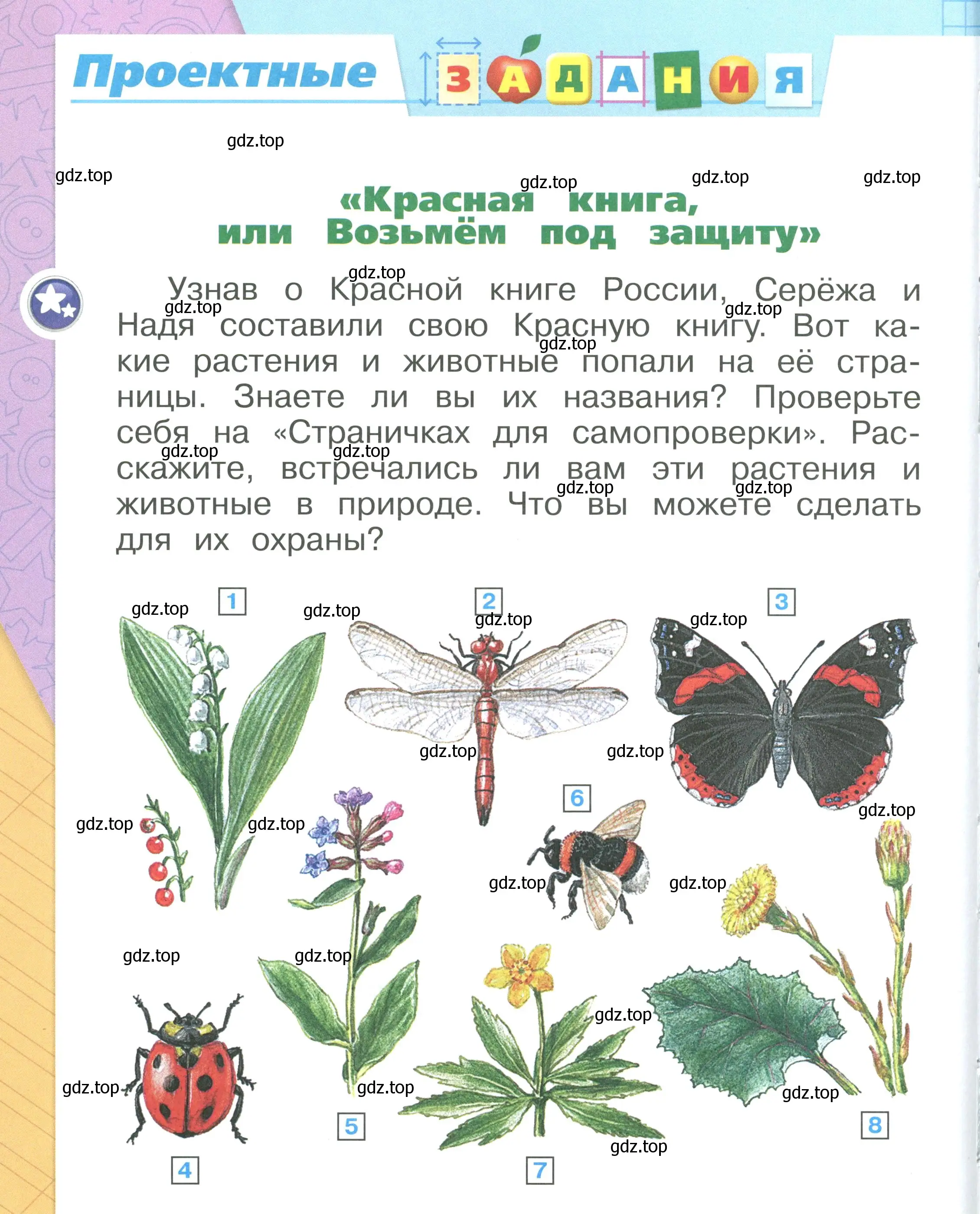 Условие номер 16 (страница 16) гдз по окружающему миру 1 класс Плешаков, учебник 2 часть