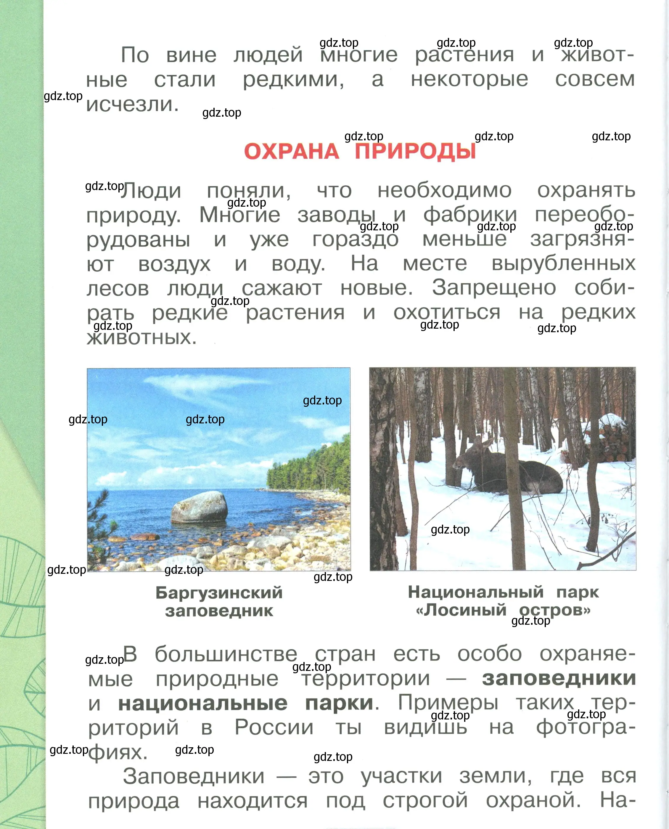 Условие номер 20 (страница 20) гдз по окружающему миру 1 класс Плешаков, учебник 2 часть