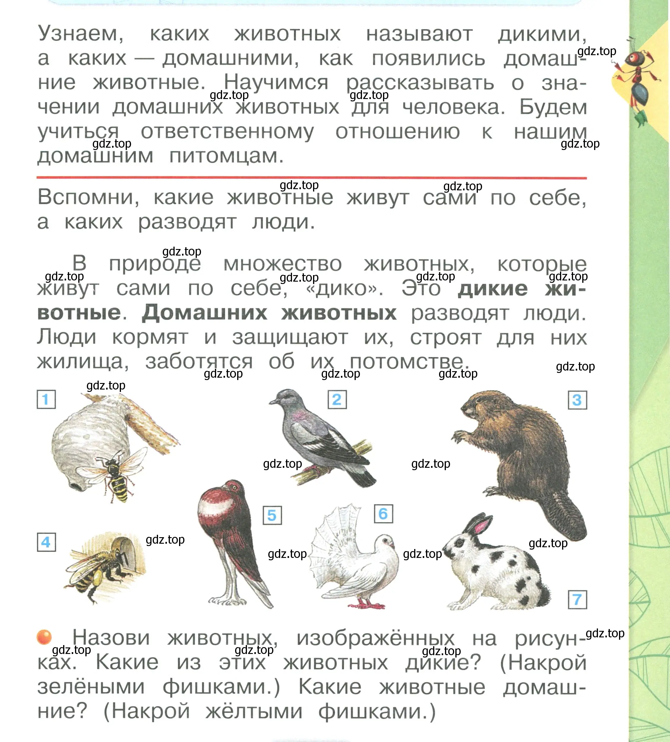 Условие номер 3 (страница 3) гдз по окружающему миру 1 класс Плешаков, учебник 2 часть