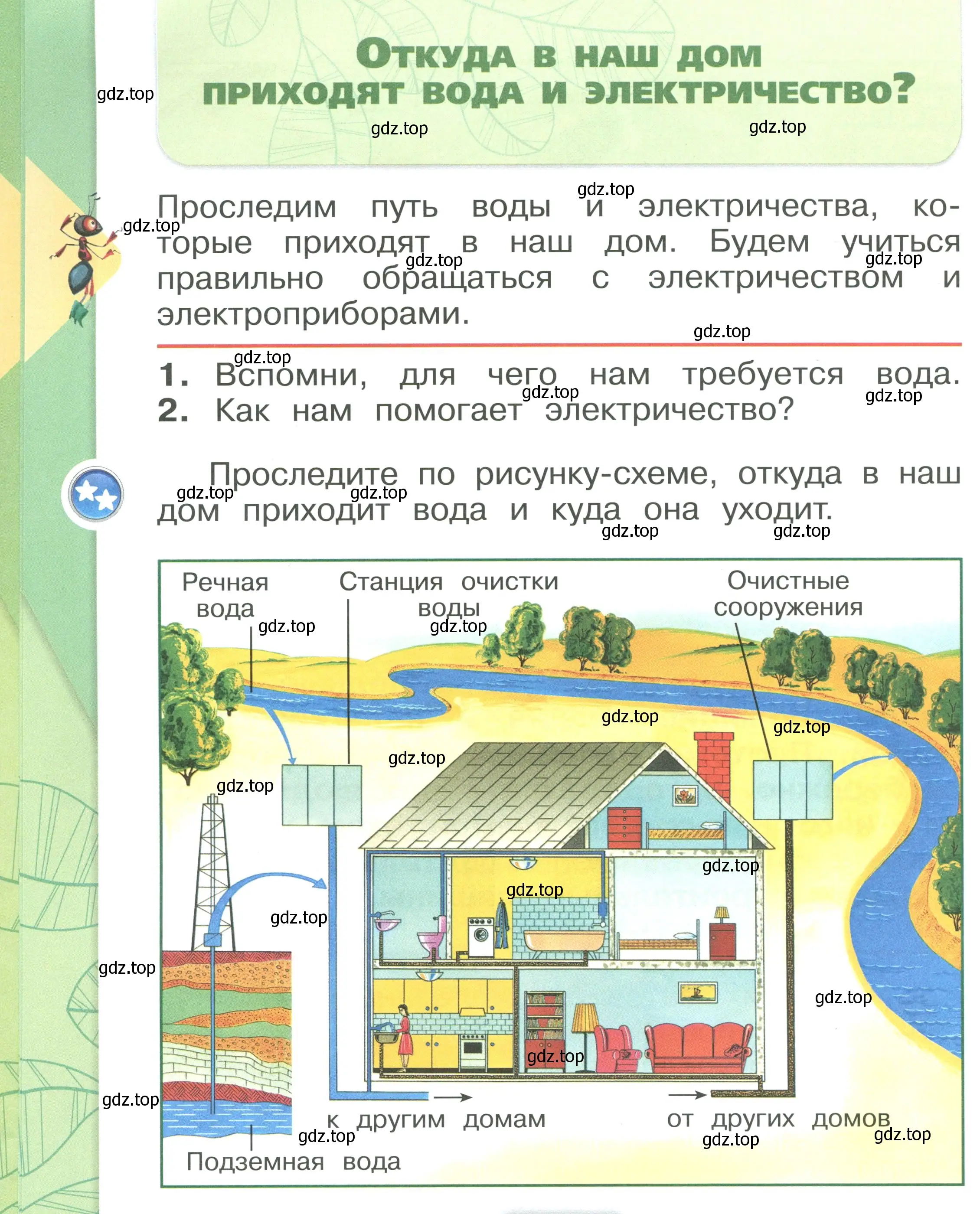 Условие номер 36 (страница 36) гдз по окружающему миру 1 класс Плешаков, учебник 2 часть