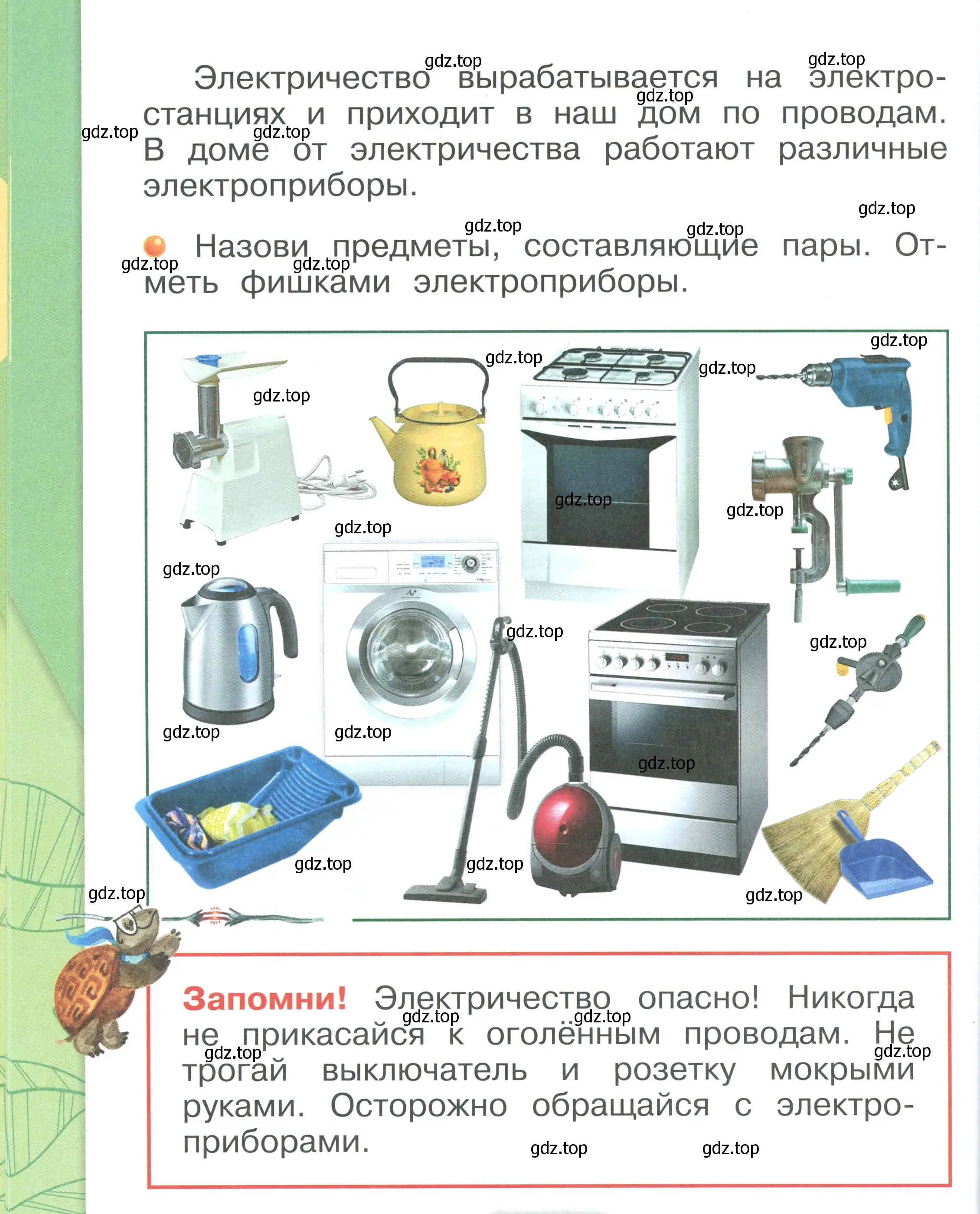 Условие номер 38 (страница 38) гдз по окружающему миру 1 класс Плешаков, учебник 2 часть