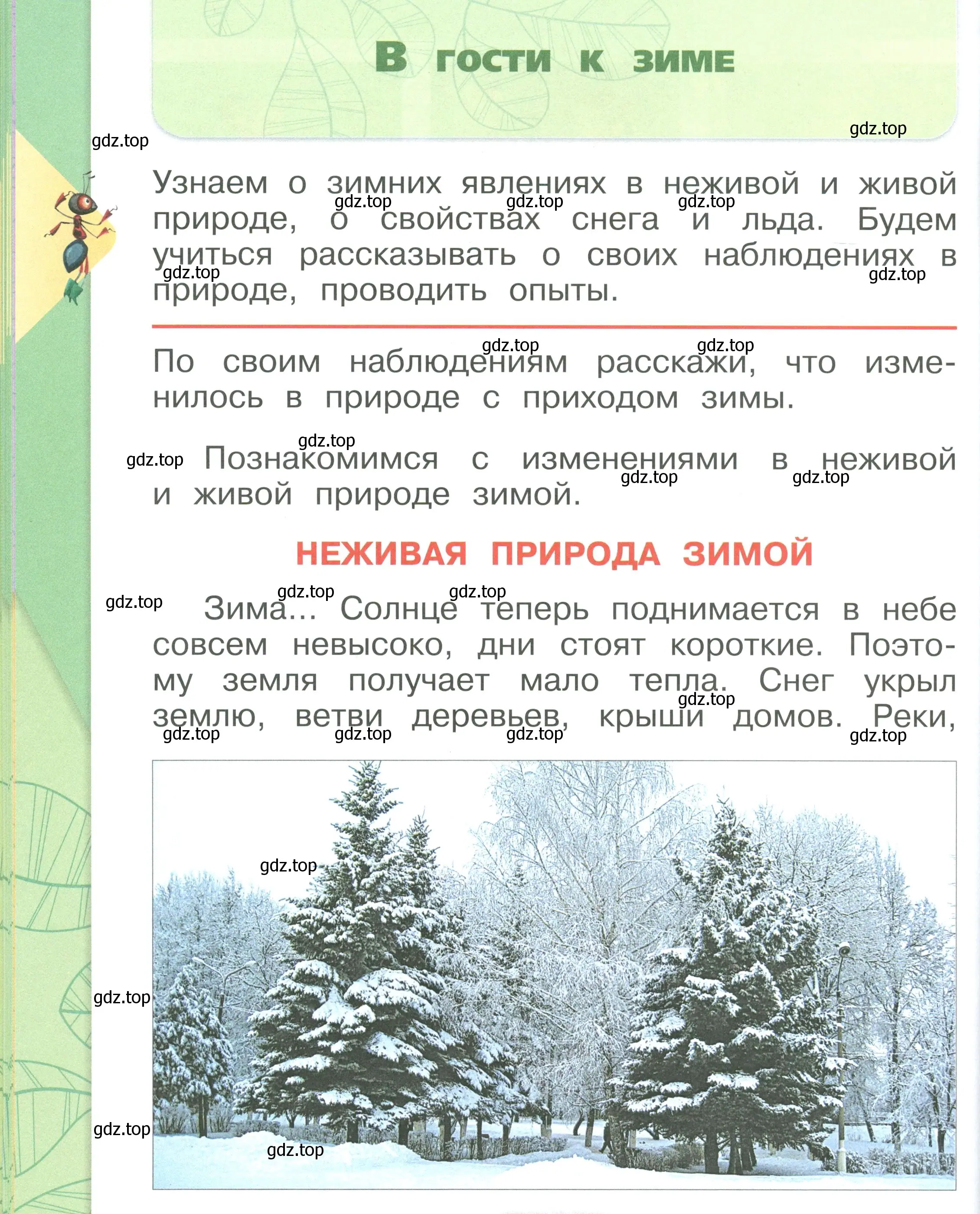 Условие номер 52 (страница 52) гдз по окружающему миру 1 класс Плешаков, учебник 2 часть