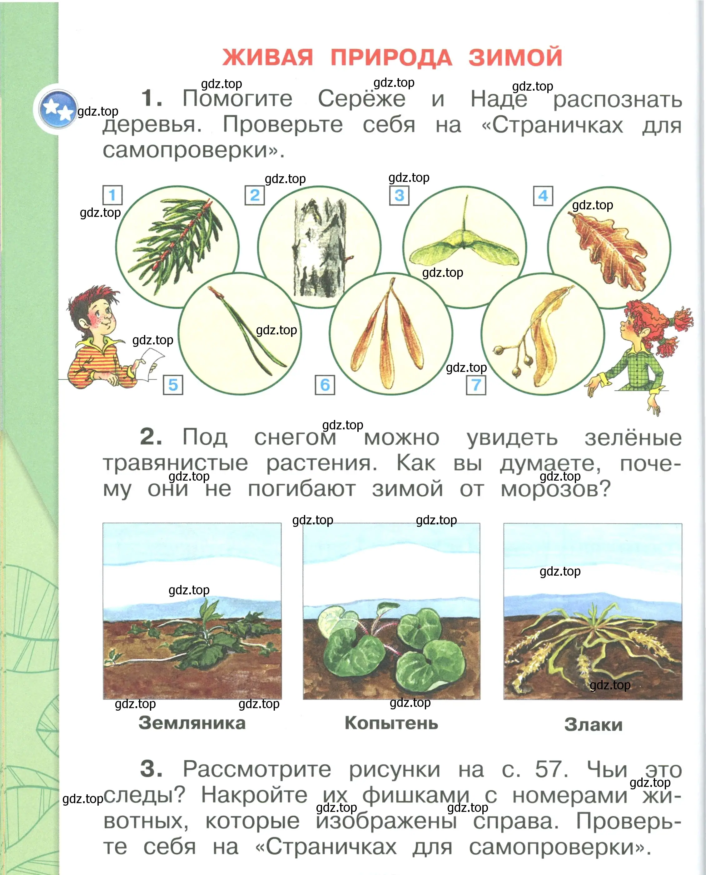 Условие номер 56 (страница 56) гдз по окружающему миру 1 класс Плешаков, учебник 2 часть