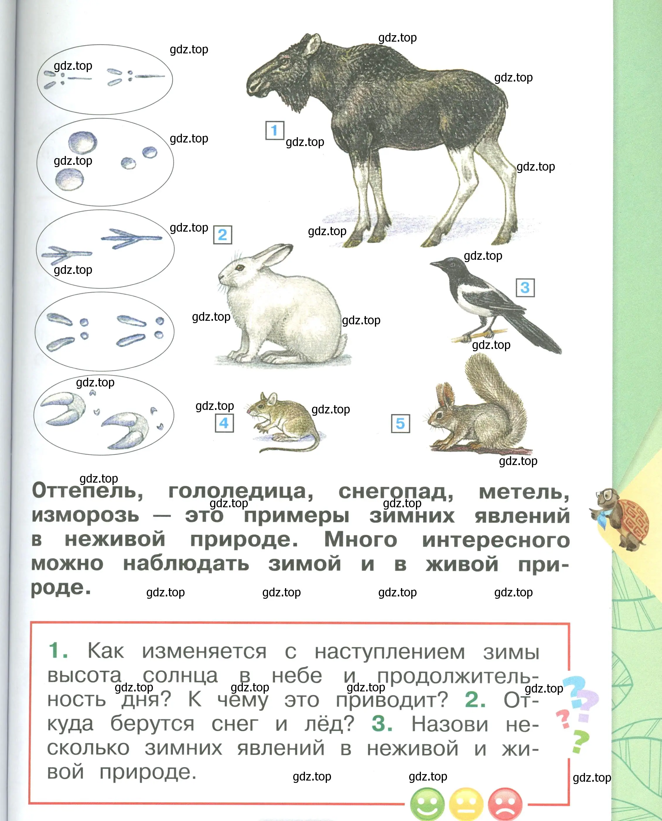 Условие номер 57 (страница 57) гдз по окружающему миру 1 класс Плешаков, учебник 2 часть