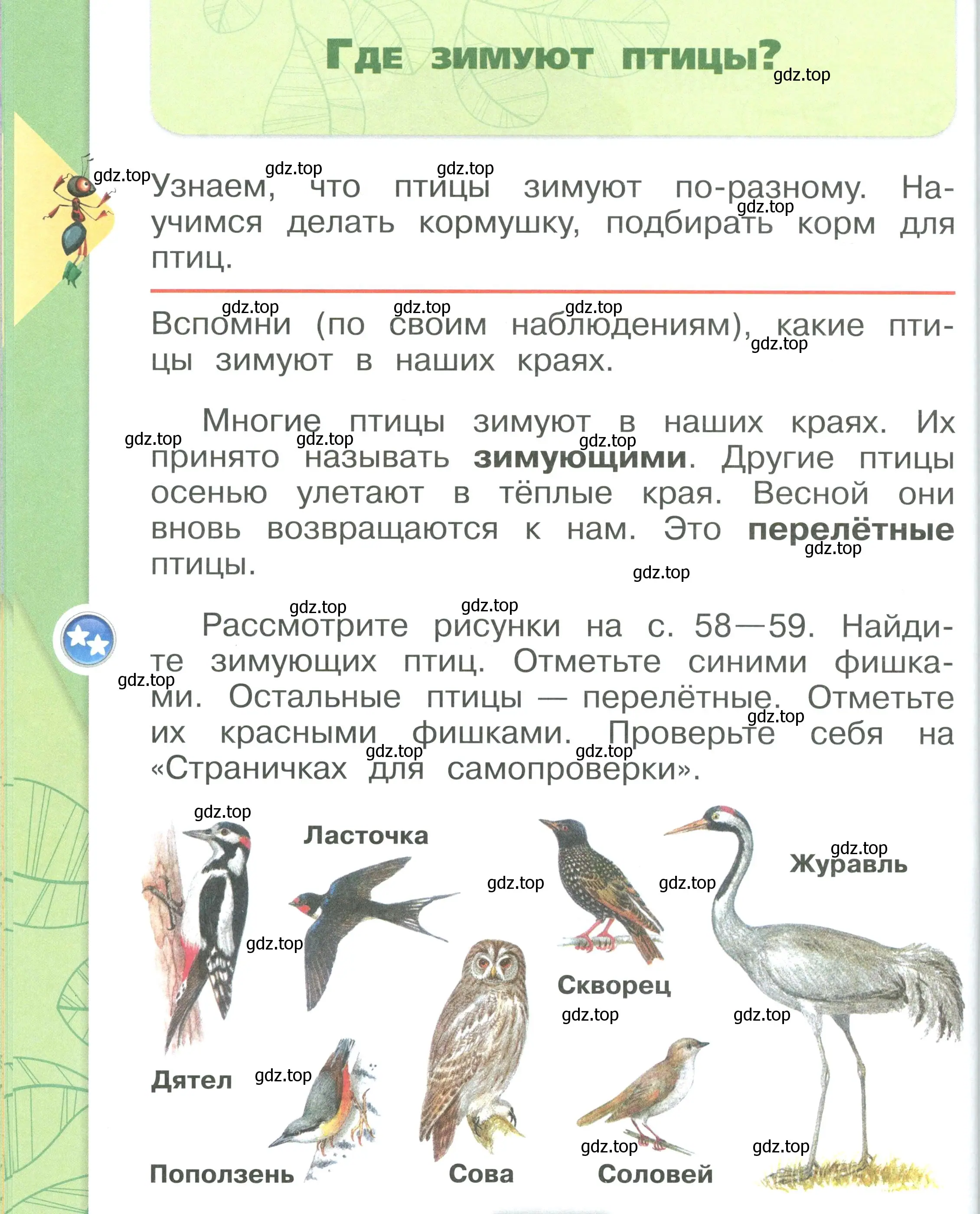 Условие номер 58 (страница 58) гдз по окружающему миру 1 класс Плешаков, учебник 2 часть