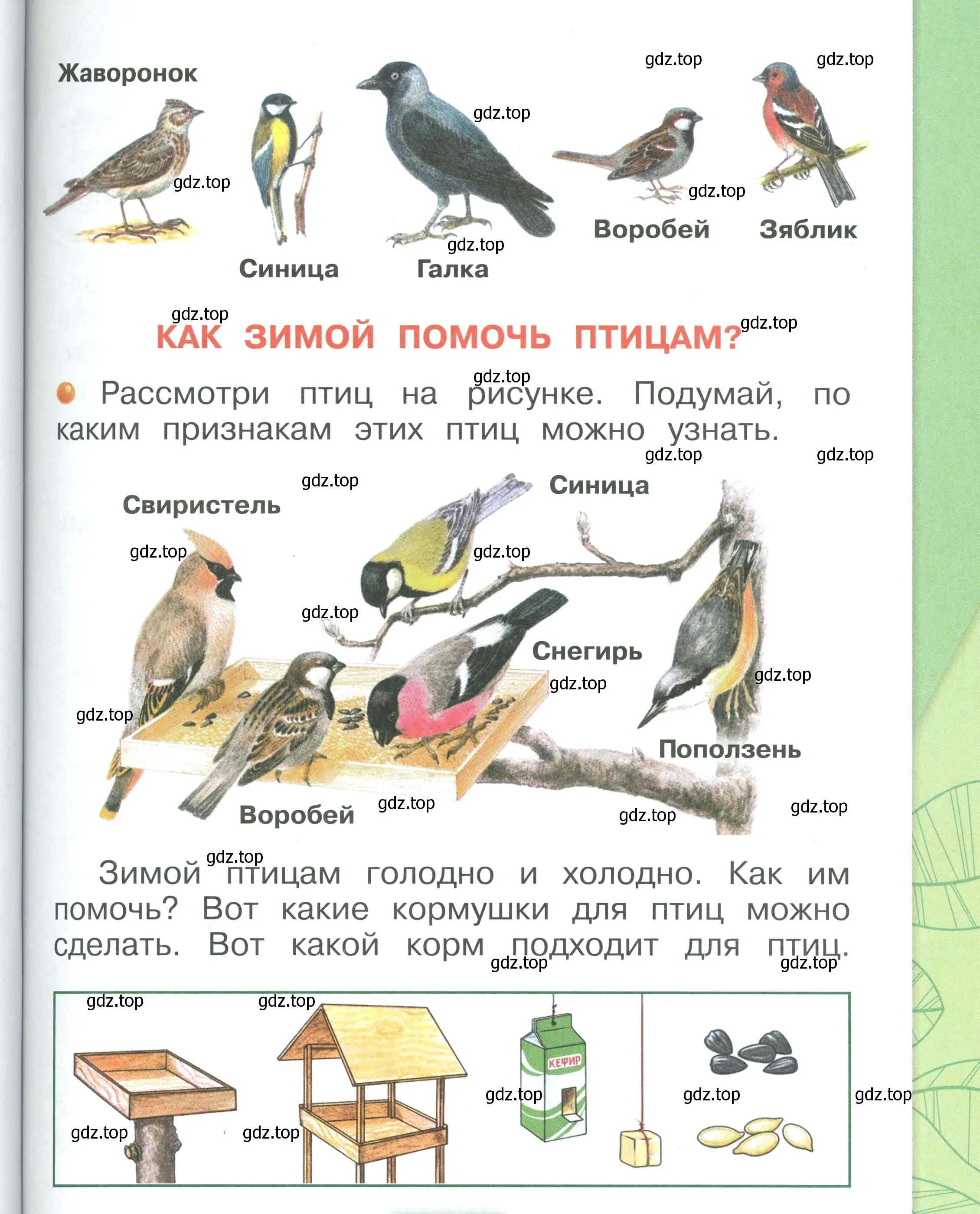 Условие номер 59 (страница 59) гдз по окружающему миру 1 класс Плешаков, учебник 2 часть