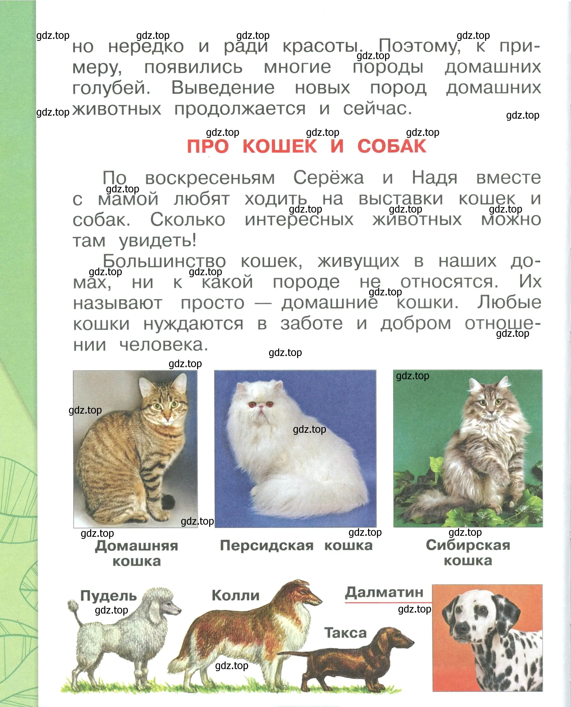 Условие номер 6 (страница 6) гдз по окружающему миру 1 класс Плешаков, учебник 2 часть