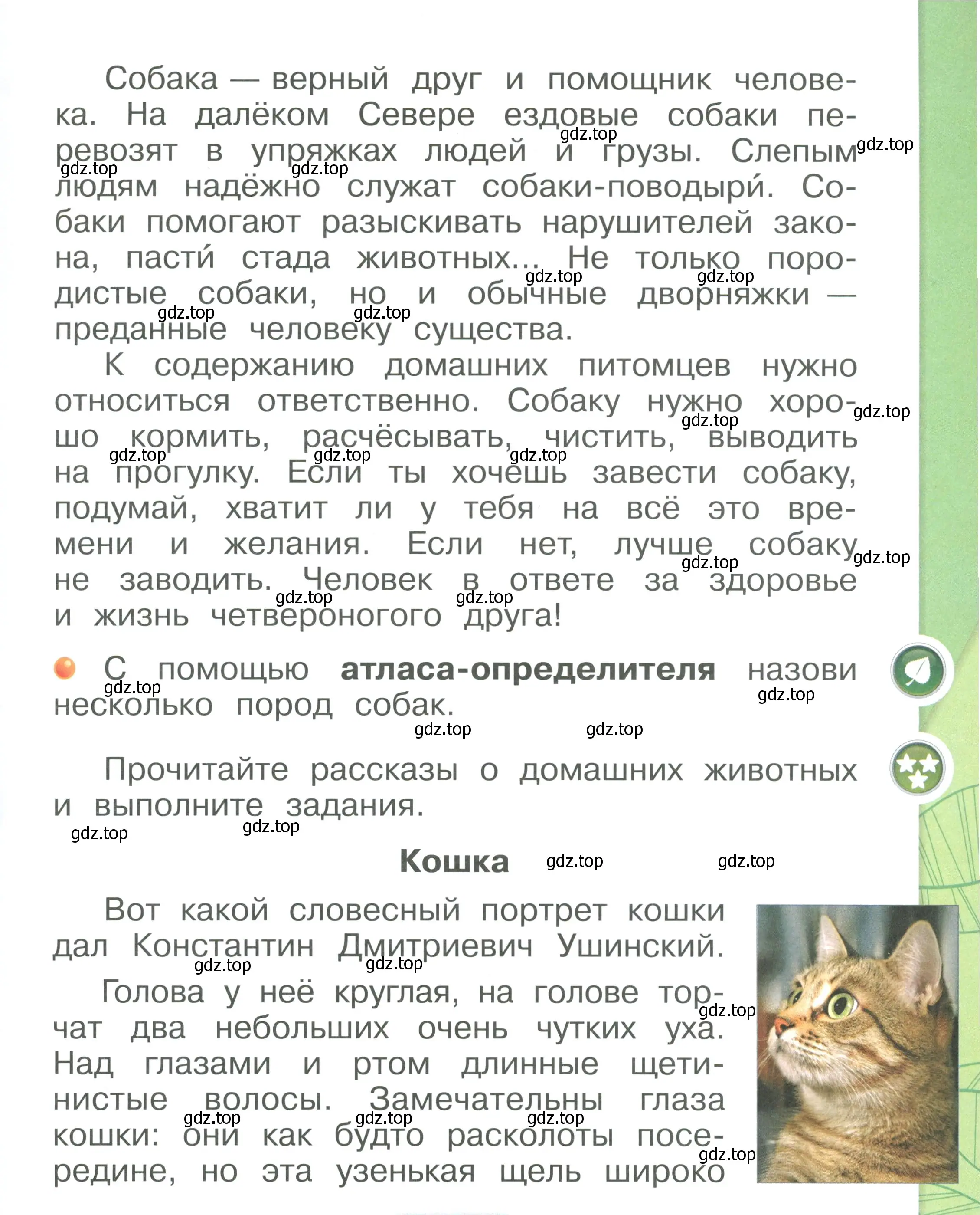 Условие номер 7 (страница 7) гдз по окружающему миру 1 класс Плешаков, учебник 2 часть