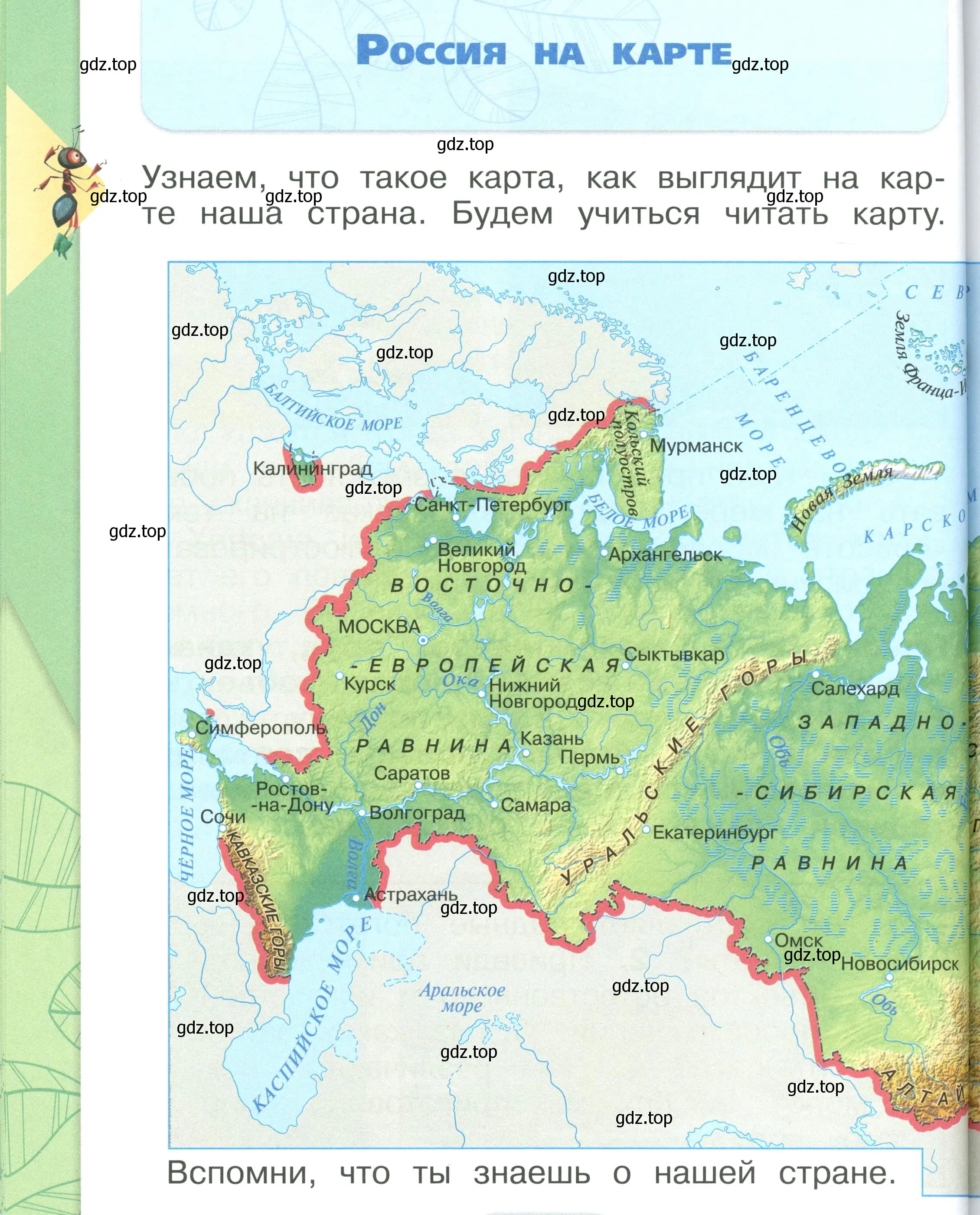 Условие номер 84 (страница 84) гдз по окружающему миру 1 класс Плешаков, учебник 2 часть