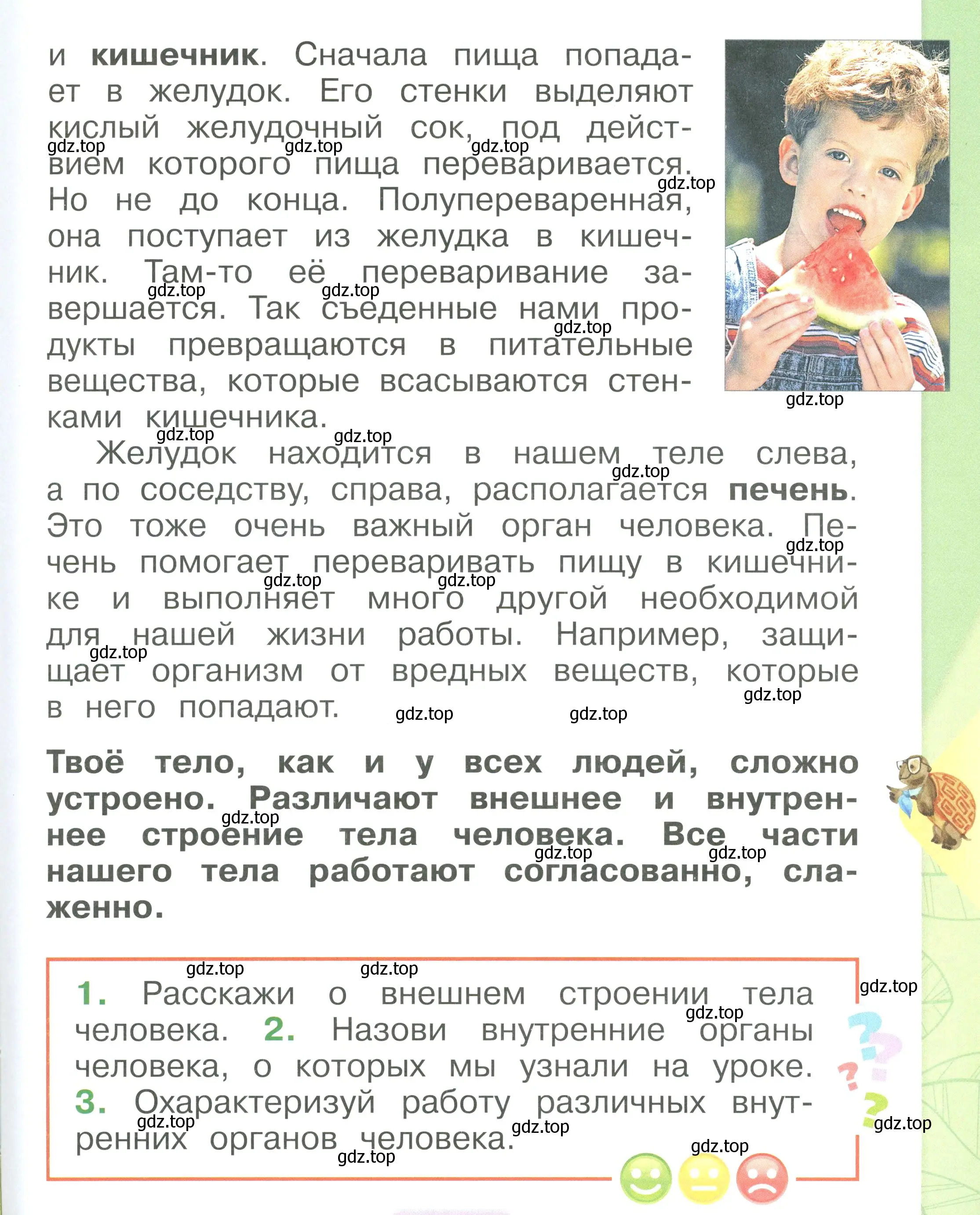 Условие номер 11 (страница 11) гдз по окружающему миру 1 класс Плешаков, учебник 3 часть