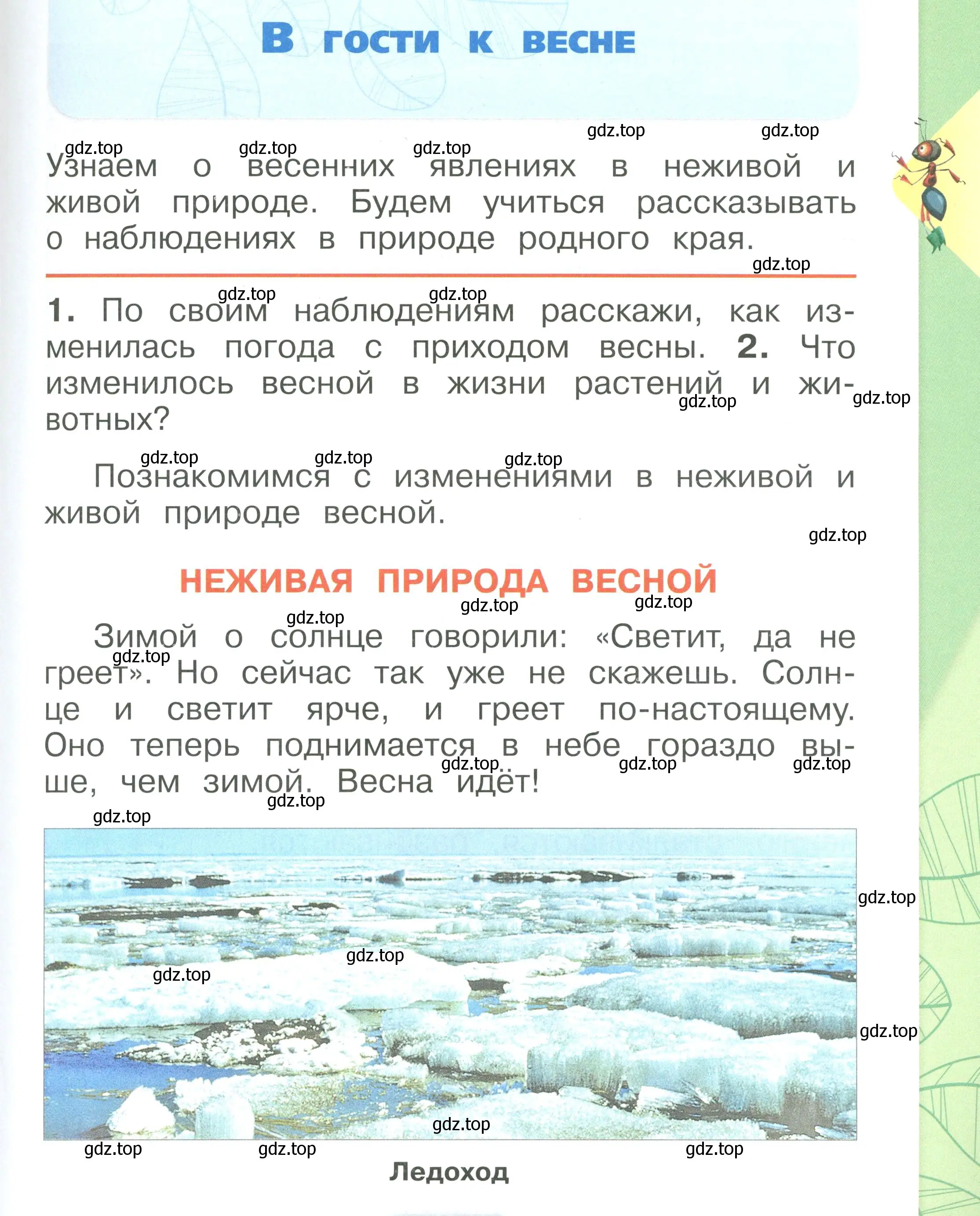 Условие номер 3 (страница 3) гдз по окружающему миру 1 класс Плешаков, учебник 3 часть