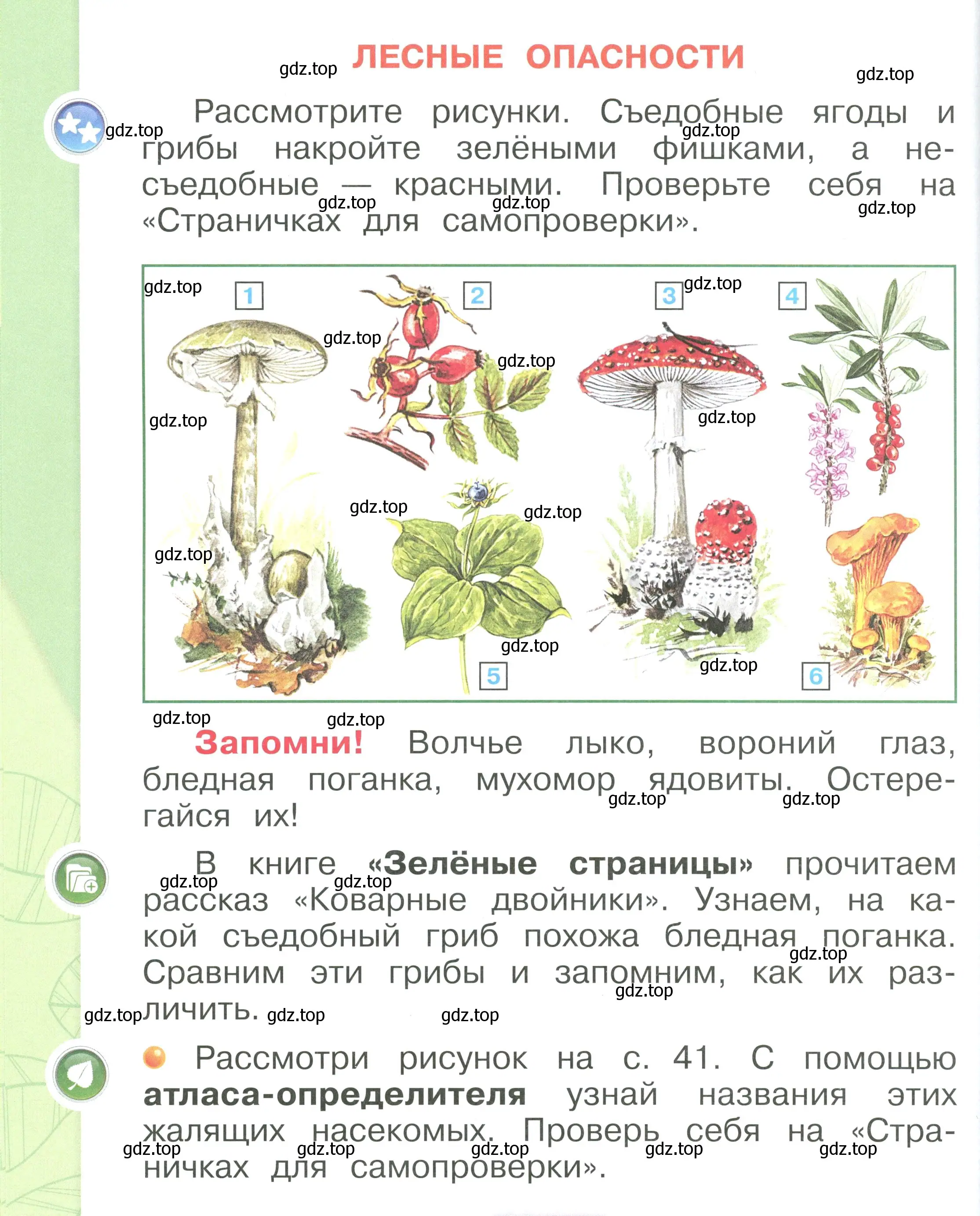 Условие номер 40 (страница 40) гдз по окружающему миру 1 класс Плешаков, учебник 3 часть