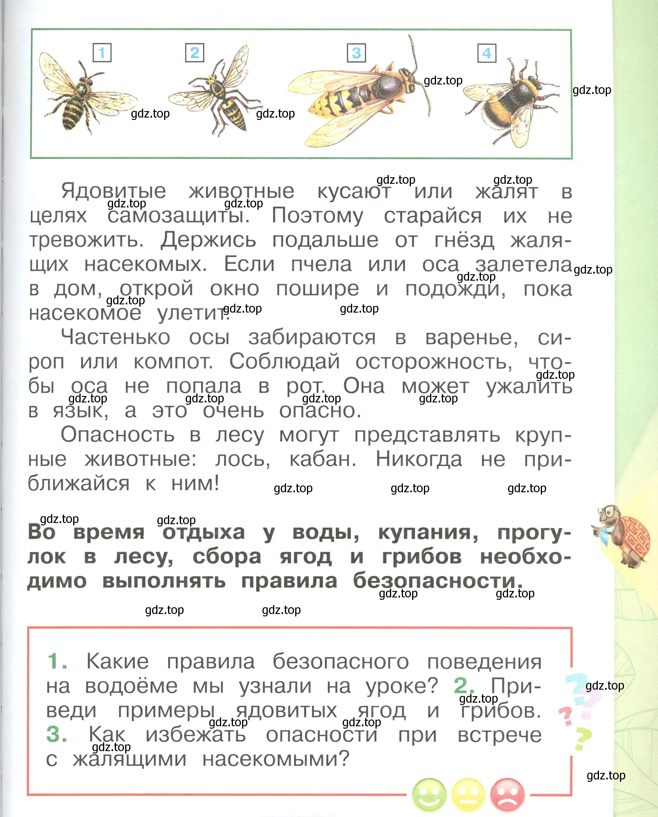 Условие номер 41 (страница 41) гдз по окружающему миру 1 класс Плешаков, учебник 3 часть