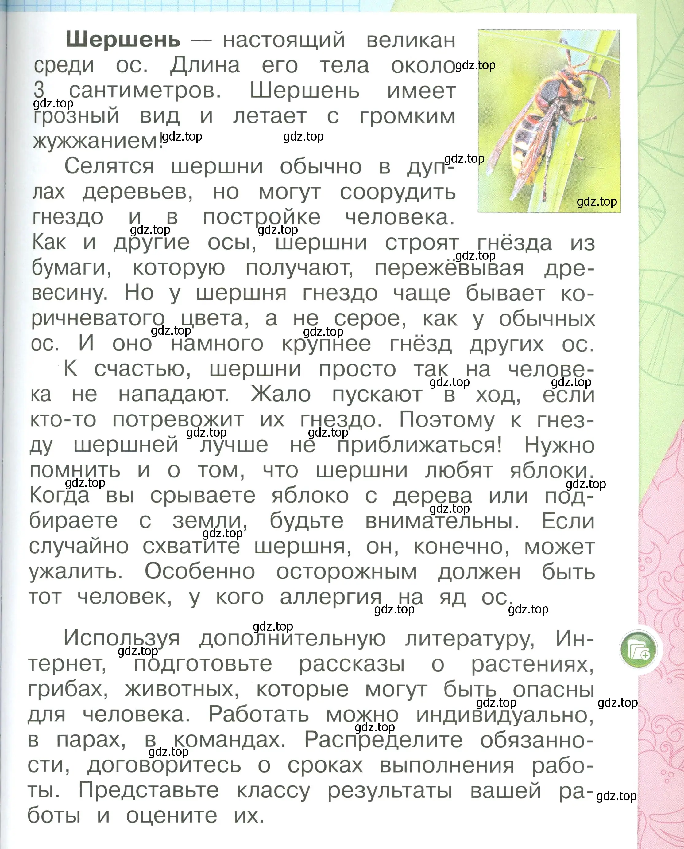 Условие номер 43 (страница 43) гдз по окружающему миру 1 класс Плешаков, учебник 3 часть