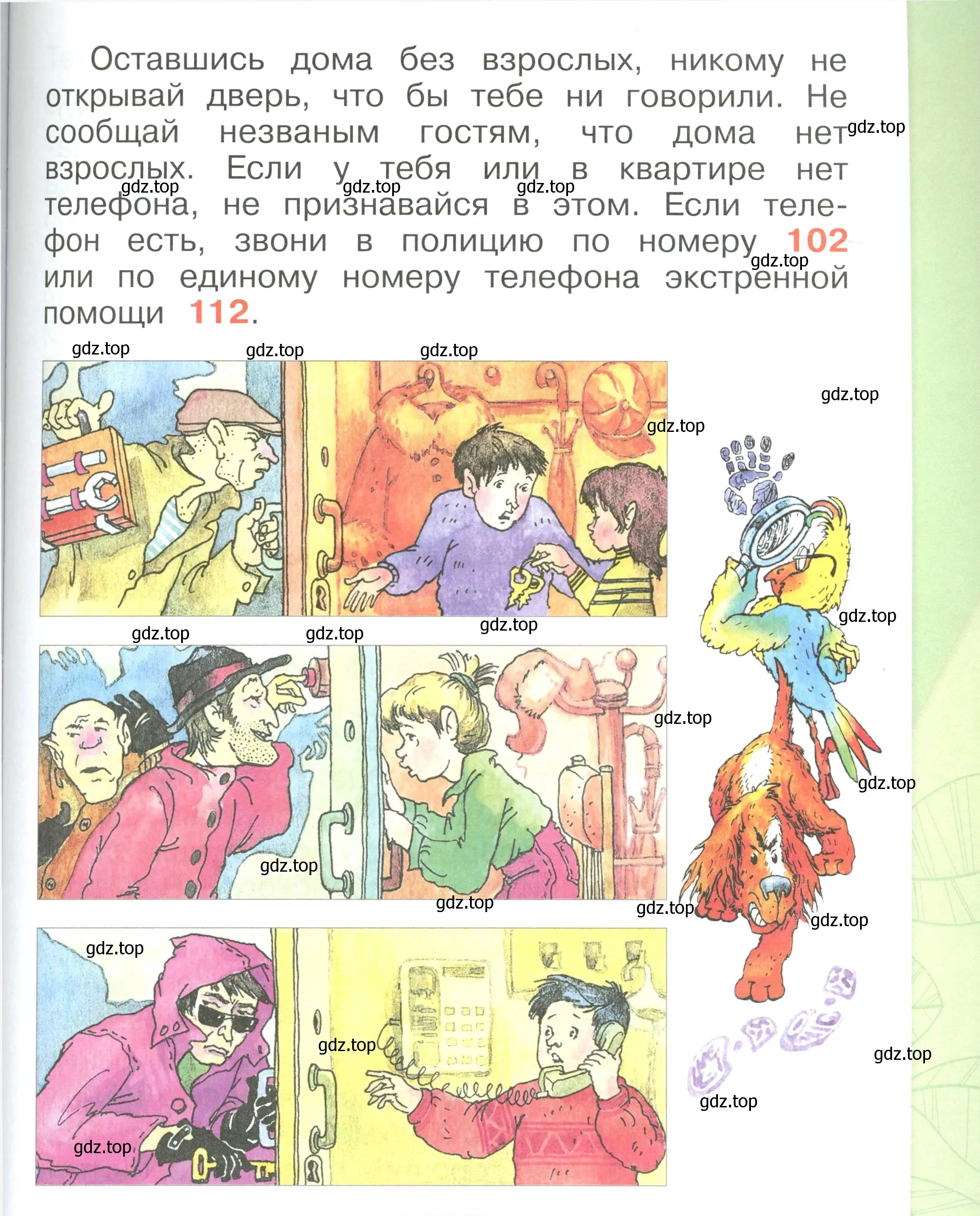 Условие номер 45 (страница 45) гдз по окружающему миру 1 класс Плешаков, учебник 3 часть