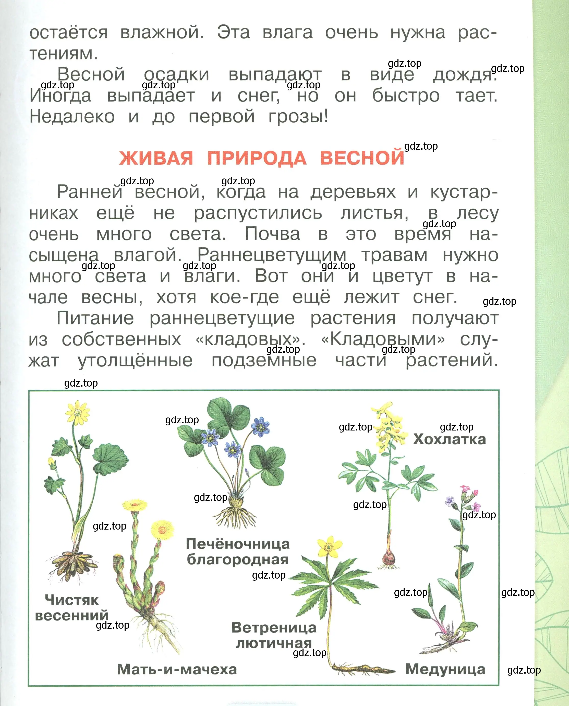 Условие номер 5 (страница 5) гдз по окружающему миру 1 класс Плешаков, учебник 3 часть