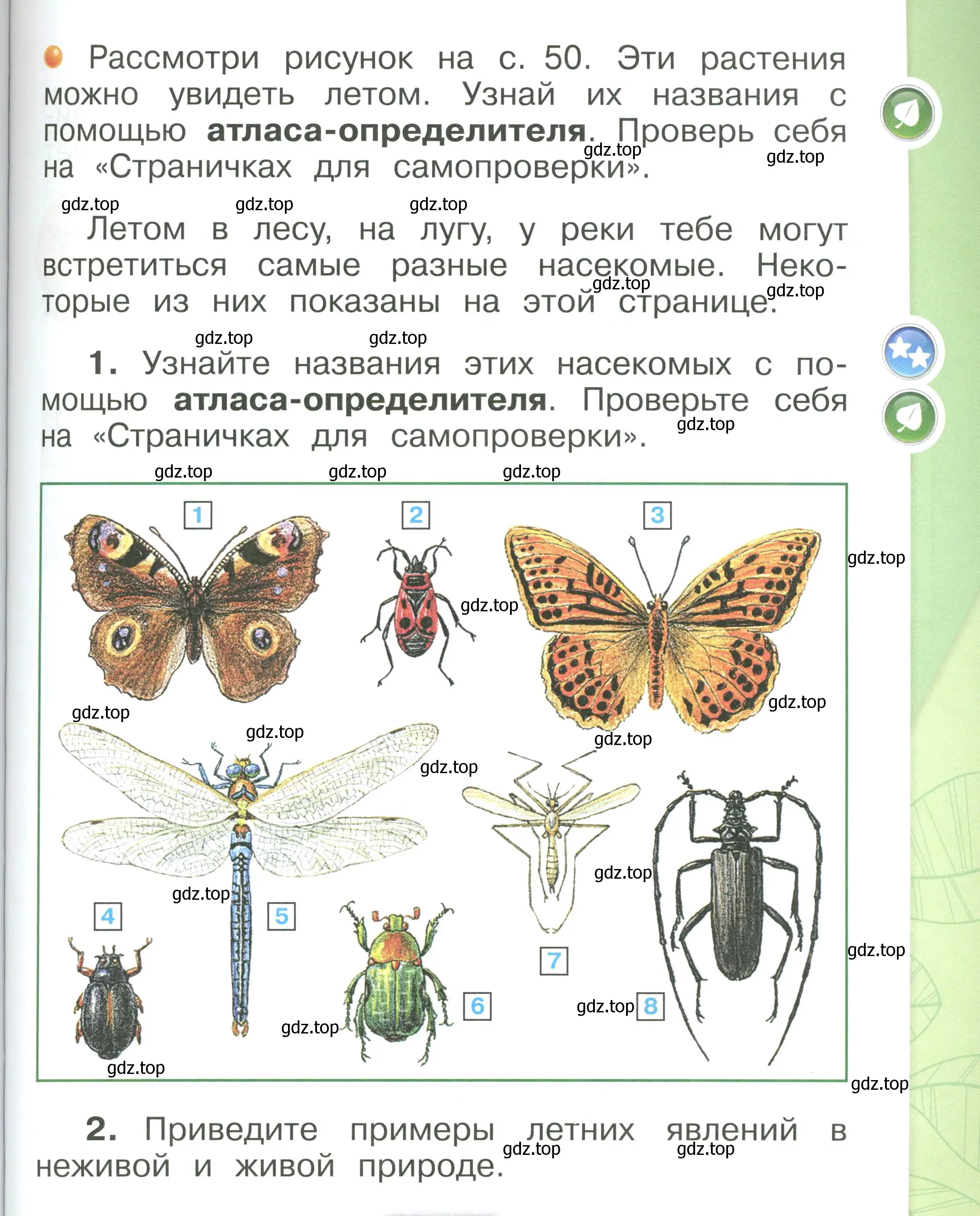 Условие номер 51 (страница 51) гдз по окружающему миру 1 класс Плешаков, учебник 3 часть