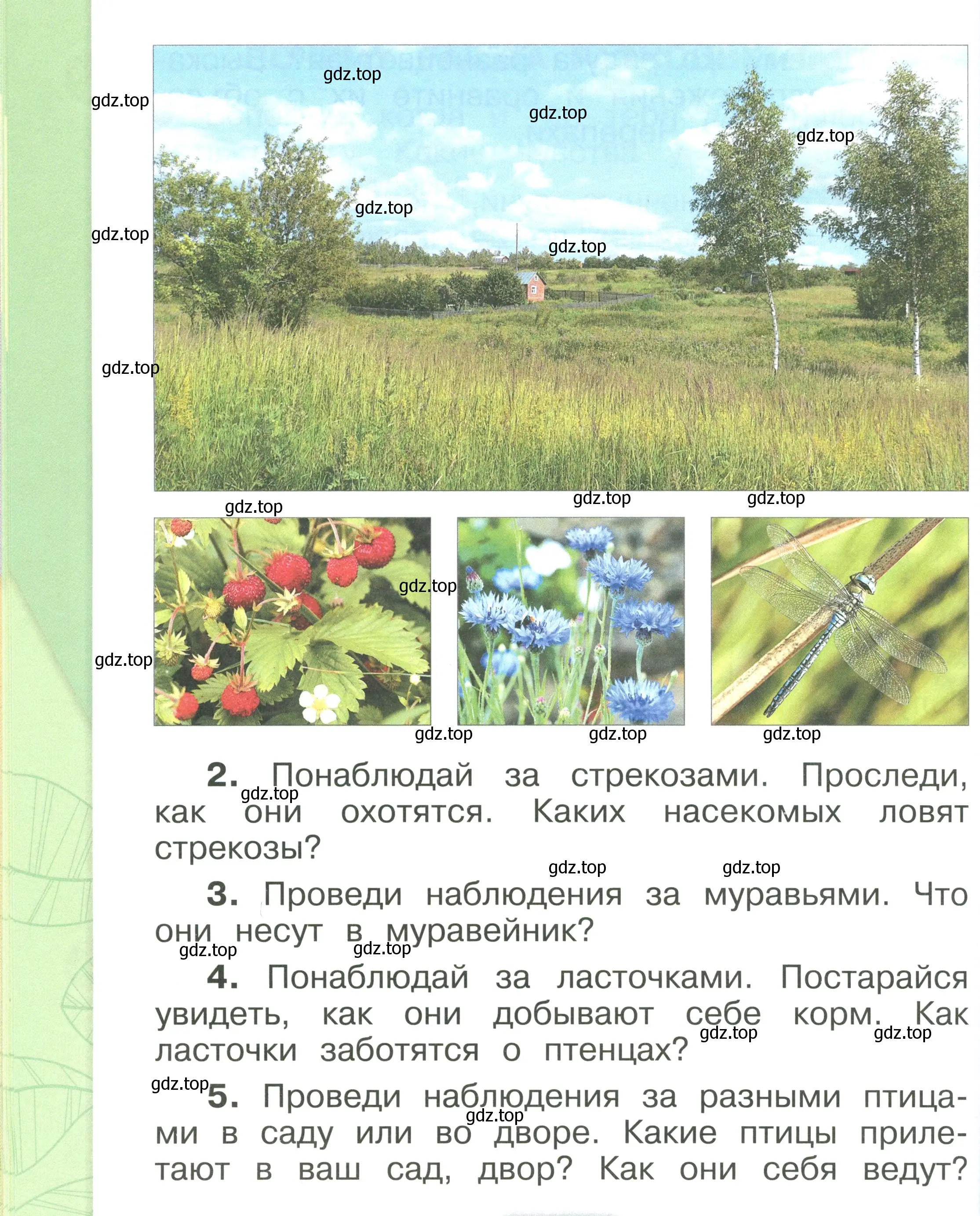 Условие номер 54 (страница 54) гдз по окружающему миру 1 класс Плешаков, учебник 3 часть