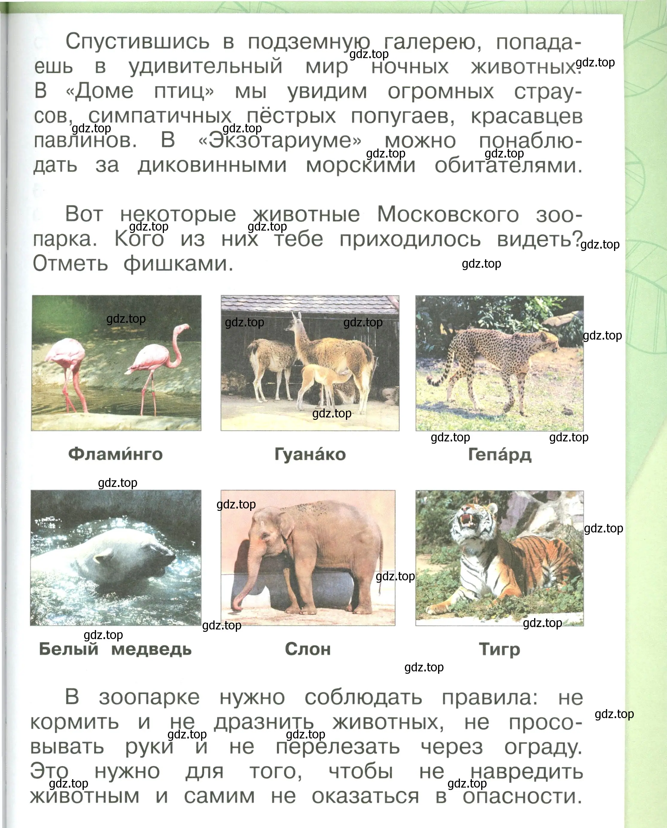 Условие номер 57 (страница 57) гдз по окружающему миру 1 класс Плешаков, учебник 3 часть