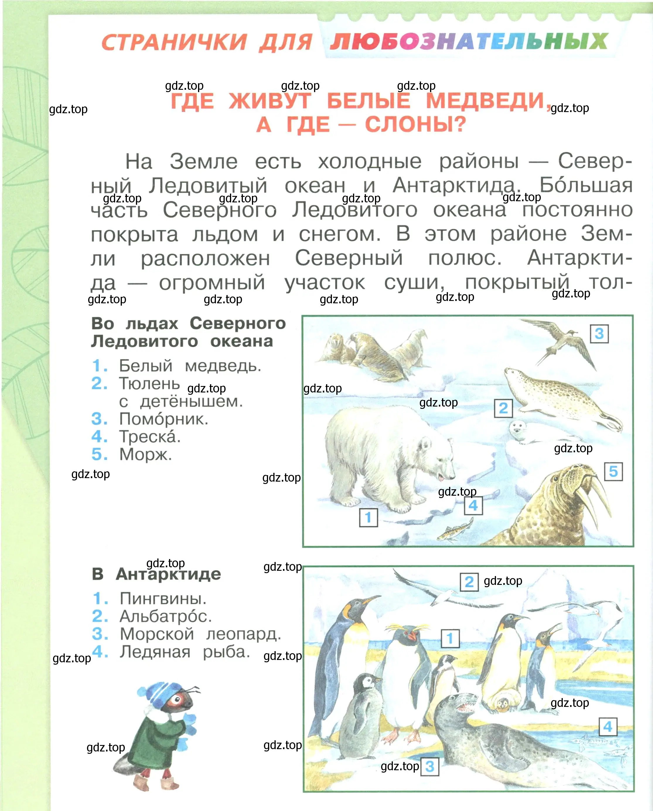 Условие номер 58 (страница 58) гдз по окружающему миру 1 класс Плешаков, учебник 3 часть