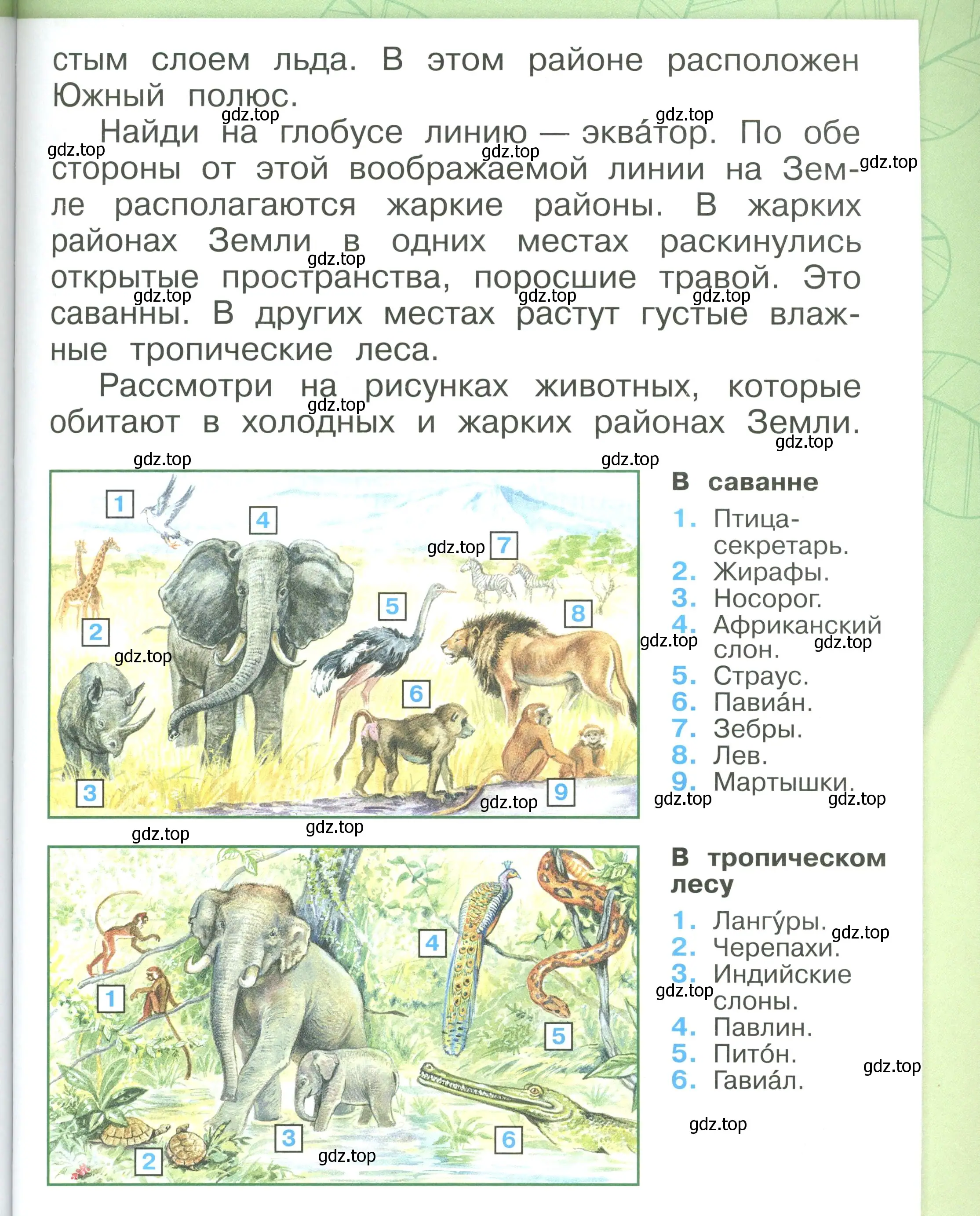 Условие номер 59 (страница 59) гдз по окружающему миру 1 класс Плешаков, учебник 3 часть