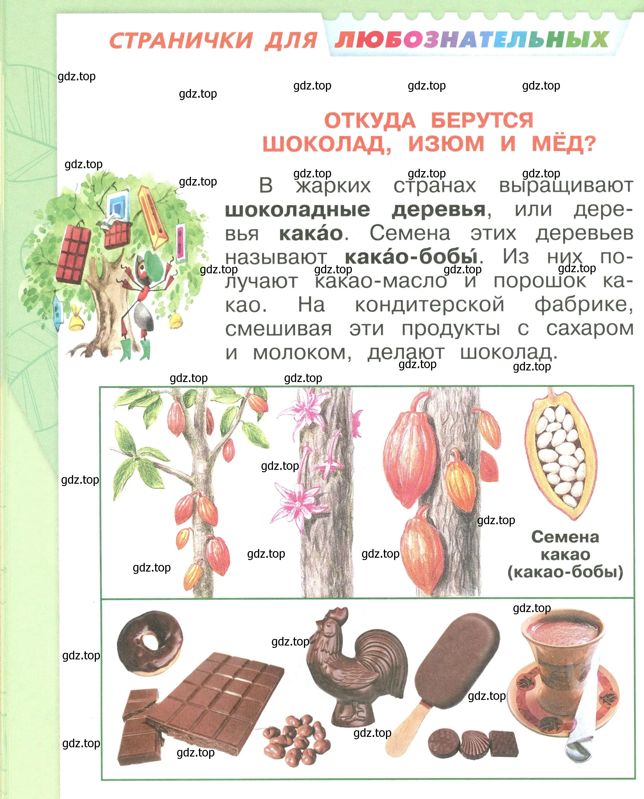 Условие номер 60 (страница 60) гдз по окружающему миру 1 класс Плешаков, учебник 3 часть