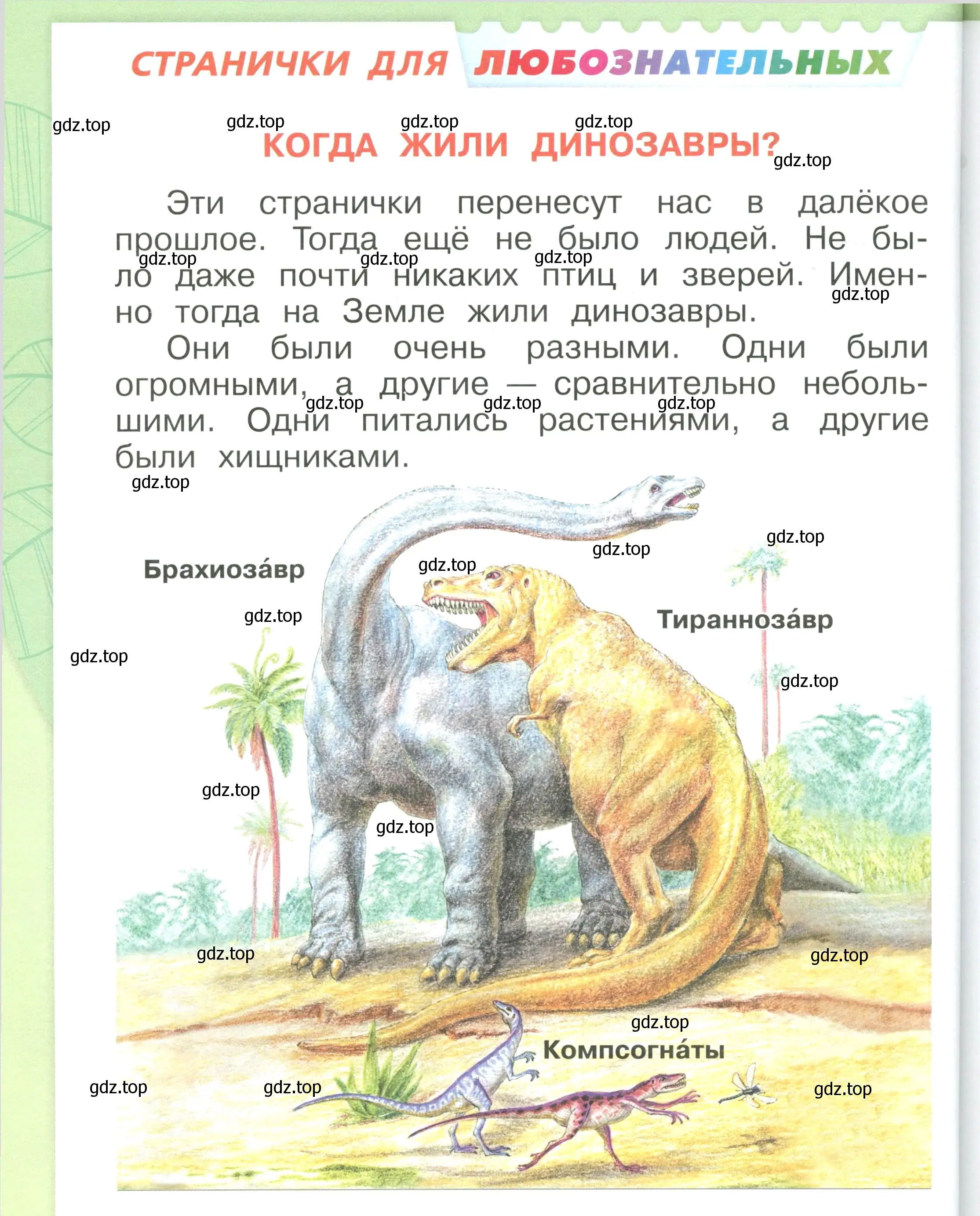 Условие номер 62 (страница 62) гдз по окружающему миру 1 класс Плешаков, учебник 3 часть