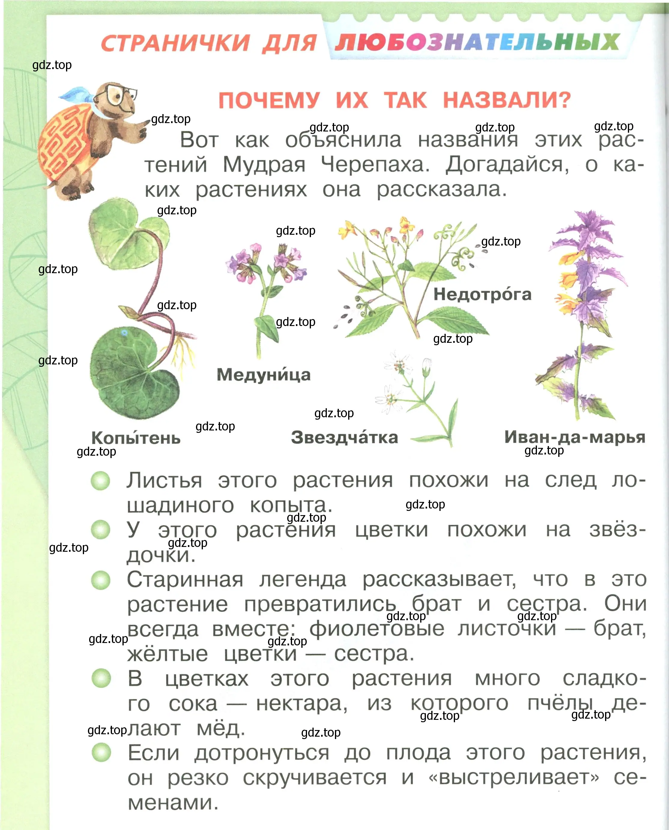 Условие номер 64 (страница 64) гдз по окружающему миру 1 класс Плешаков, учебник 3 часть