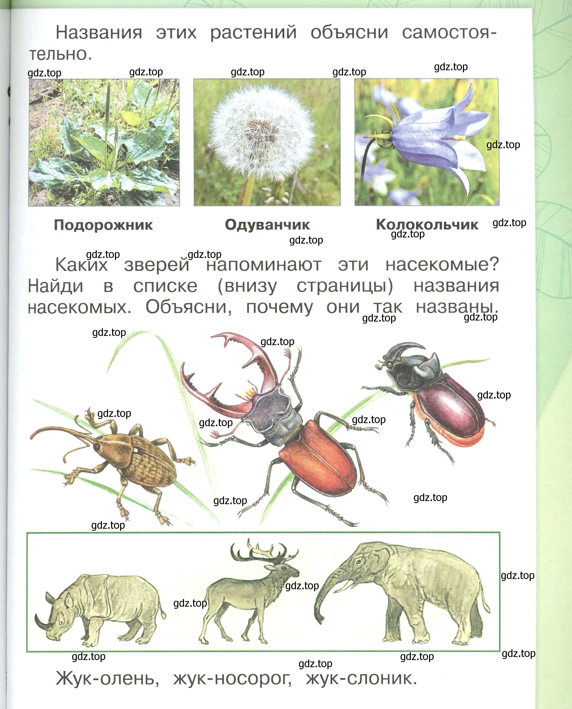 Условие номер 65 (страница 65) гдз по окружающему миру 1 класс Плешаков, учебник 3 часть