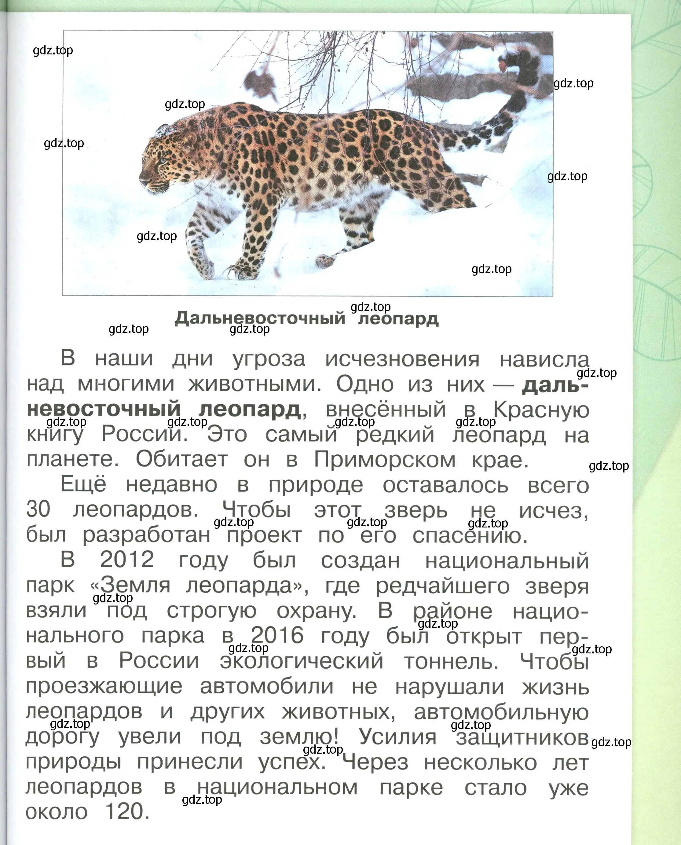 Условие номер 69 (страница 69) гдз по окружающему миру 1 класс Плешаков, учебник 3 часть