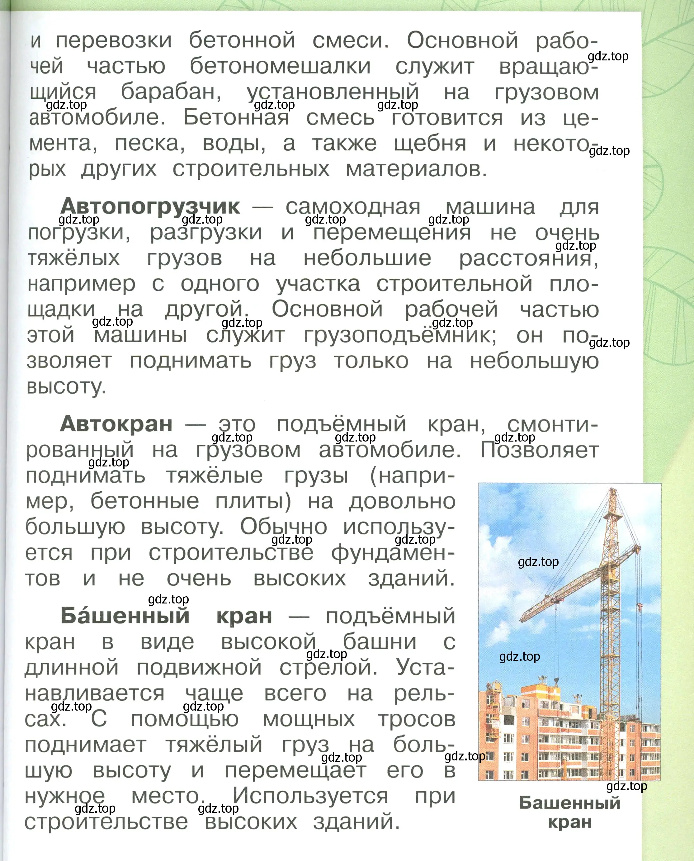 Условие номер 81 (страница 81) гдз по окружающему миру 1 класс Плешаков, учебник 3 часть