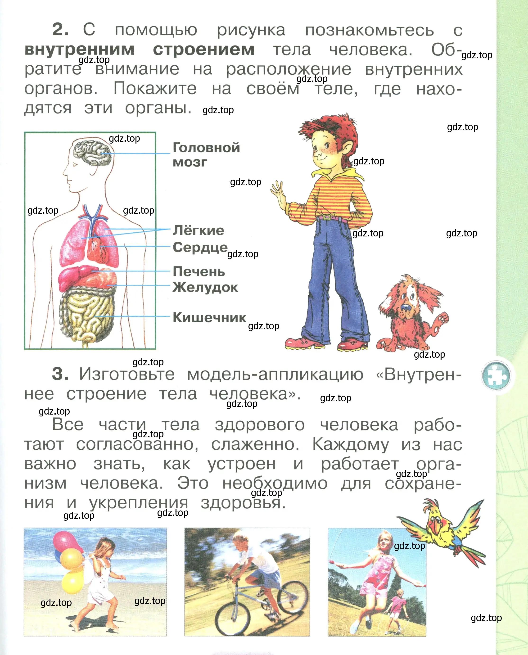 Условие номер 9 (страница 9) гдз по окружающему миру 1 класс Плешаков, учебник 3 часть