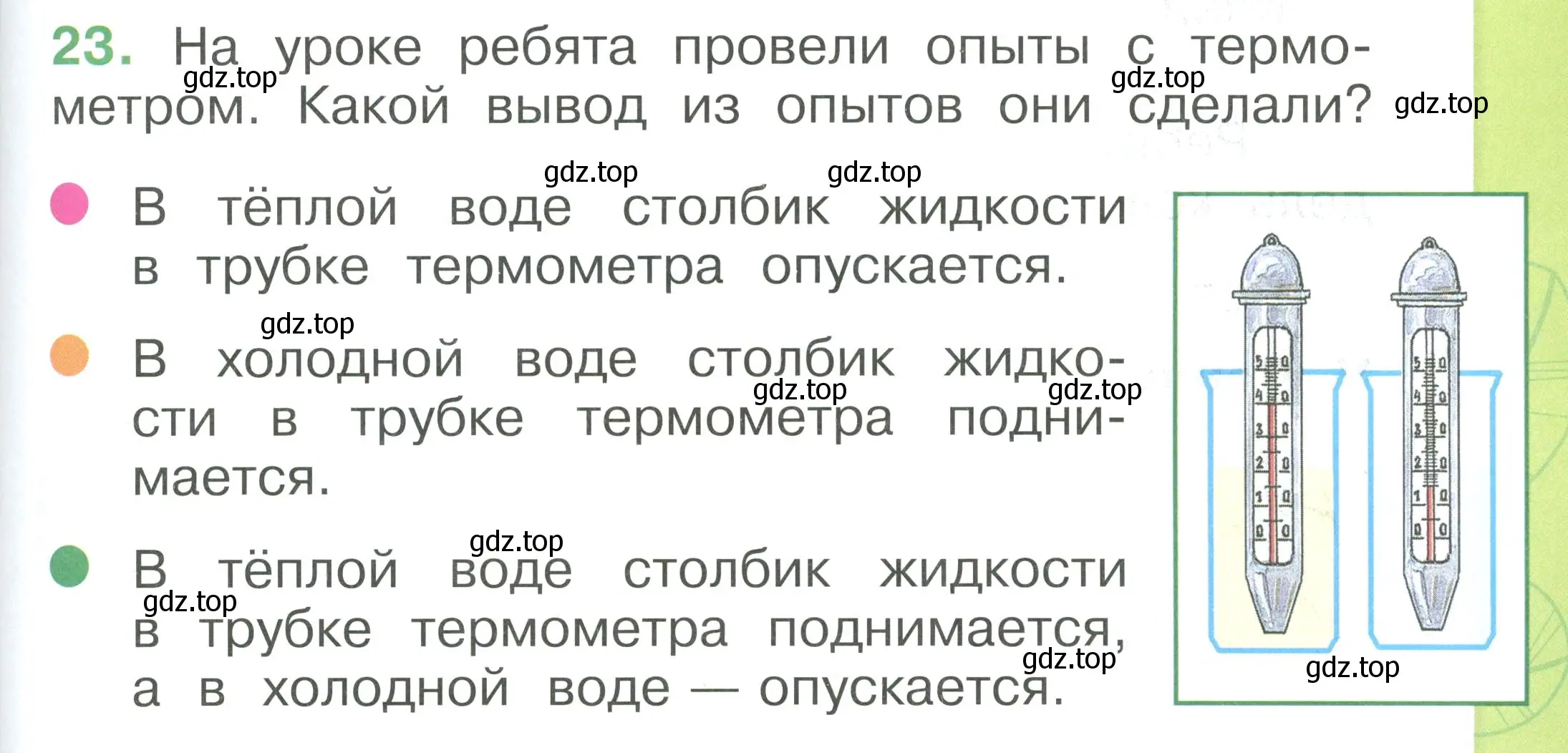 Условие номер 23 (страница 97) гдз по окружающему миру 1 класс Плешаков, учебник 3 часть