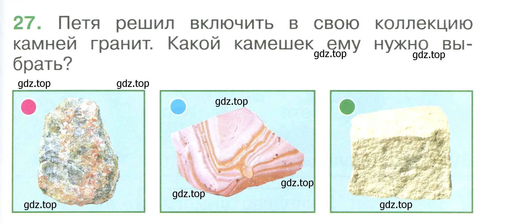 Условие номер 27 (страница 99) гдз по окружающему миру 1 класс Плешаков, учебник 3 часть