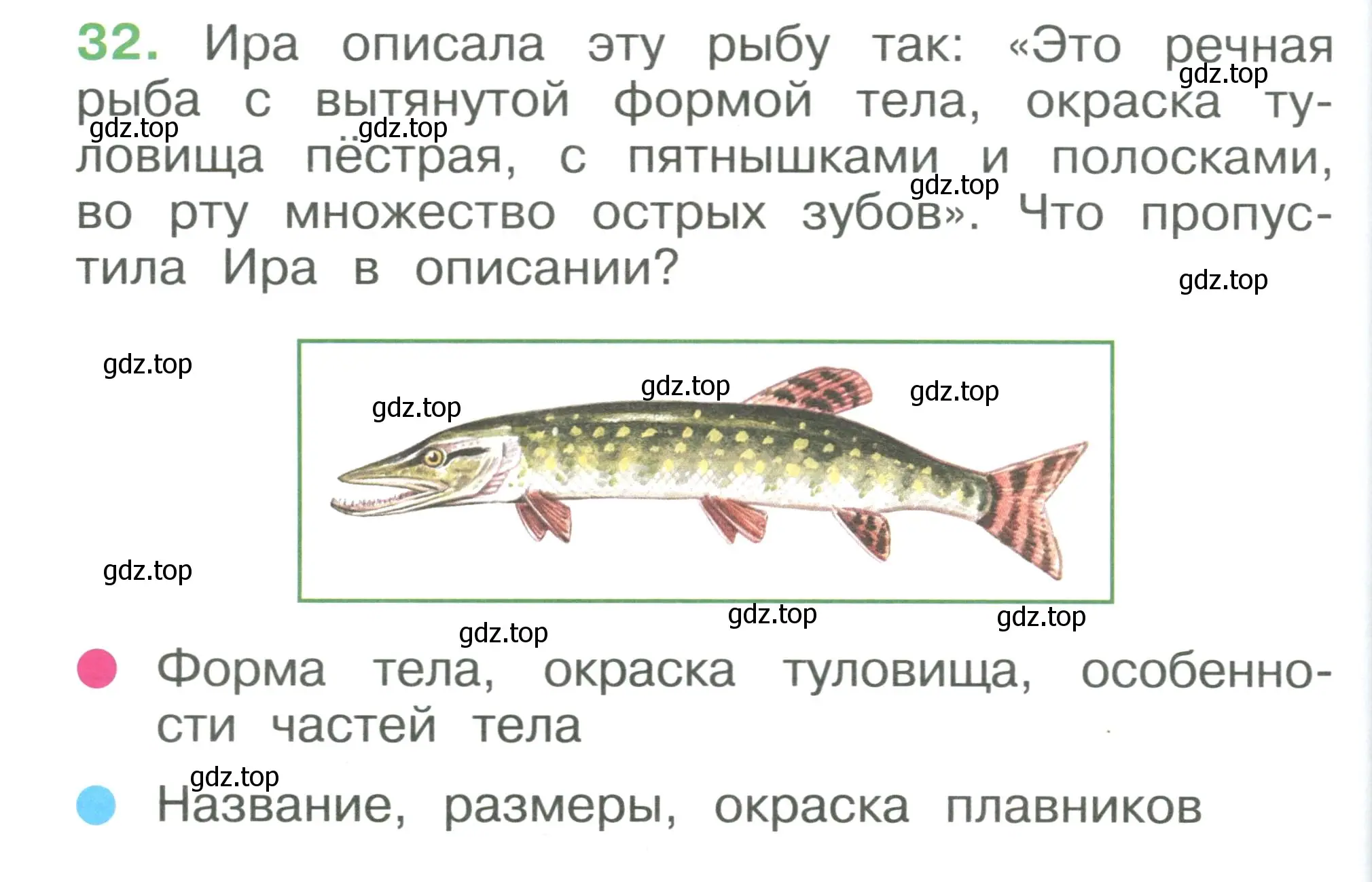 Условие номер 32 (страница 102) гдз по окружающему миру 1 класс Плешаков, учебник 3 часть