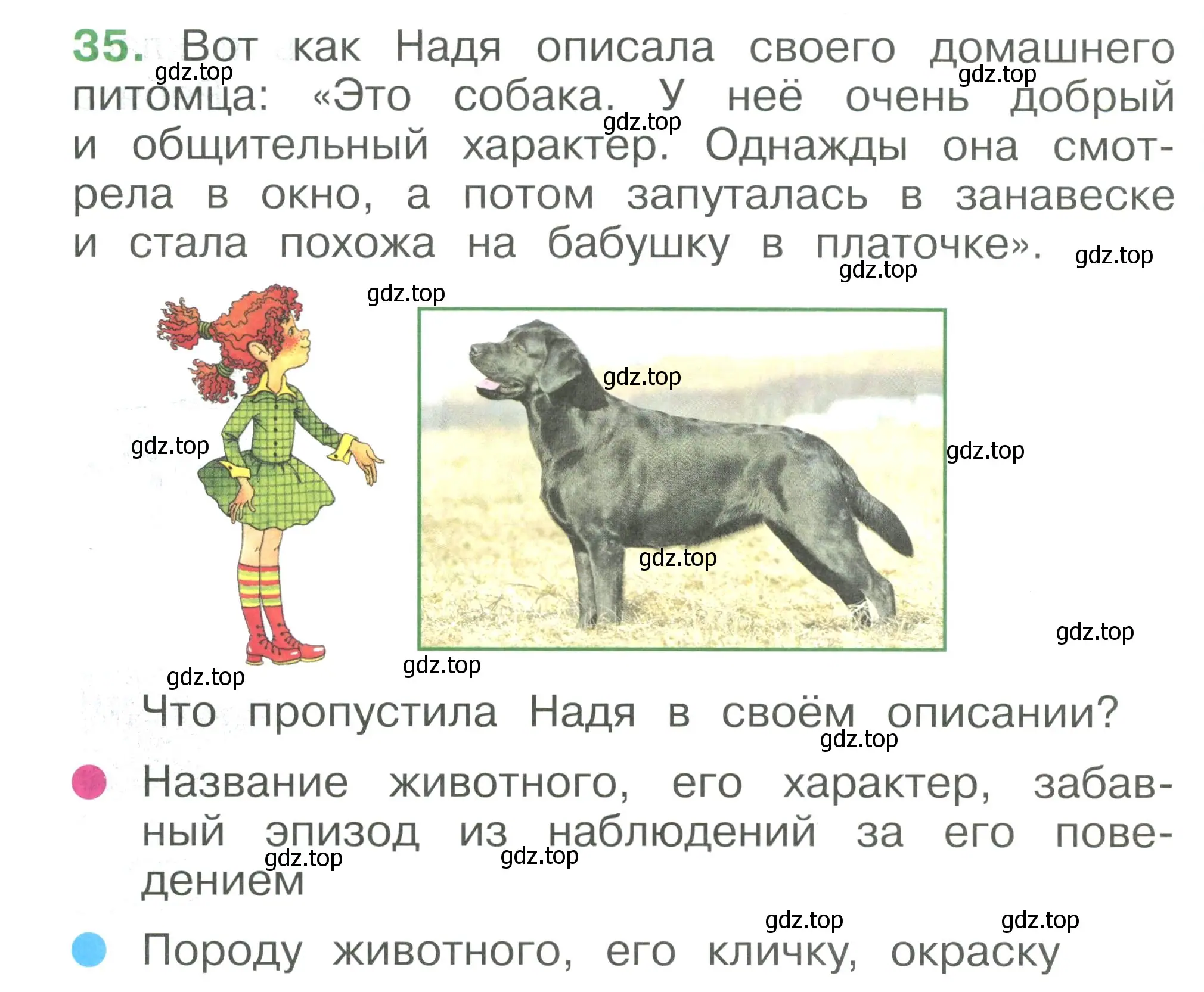 Условие номер 35 (страница 104) гдз по окружающему миру 1 класс Плешаков, учебник 3 часть