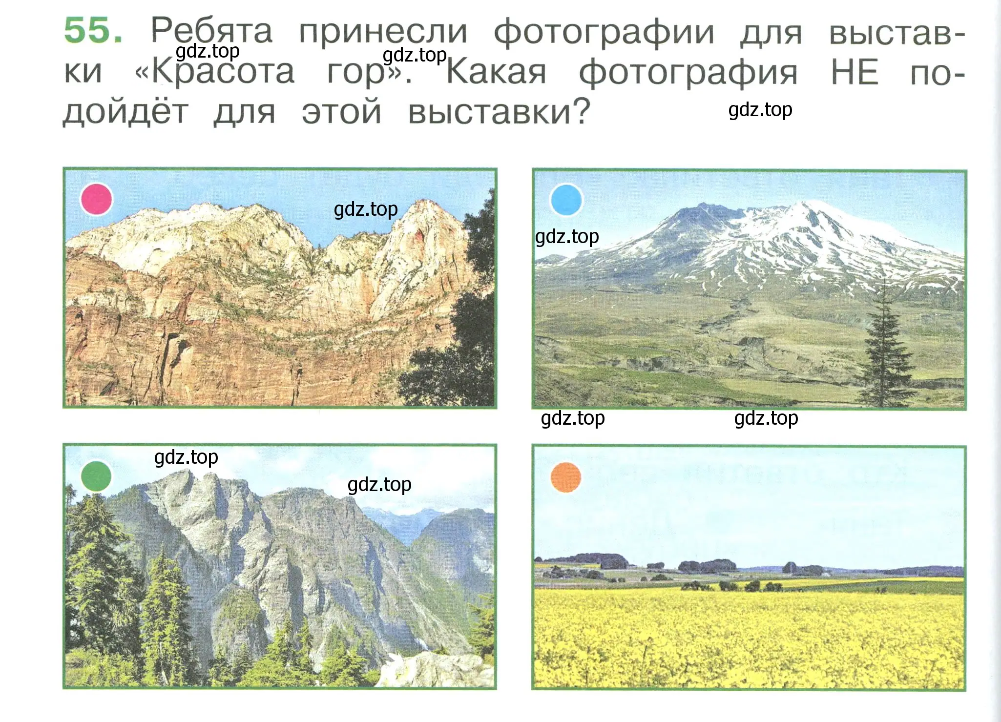 Условие номер 55 (страница 114) гдз по окружающему миру 1 класс Плешаков, учебник 3 часть