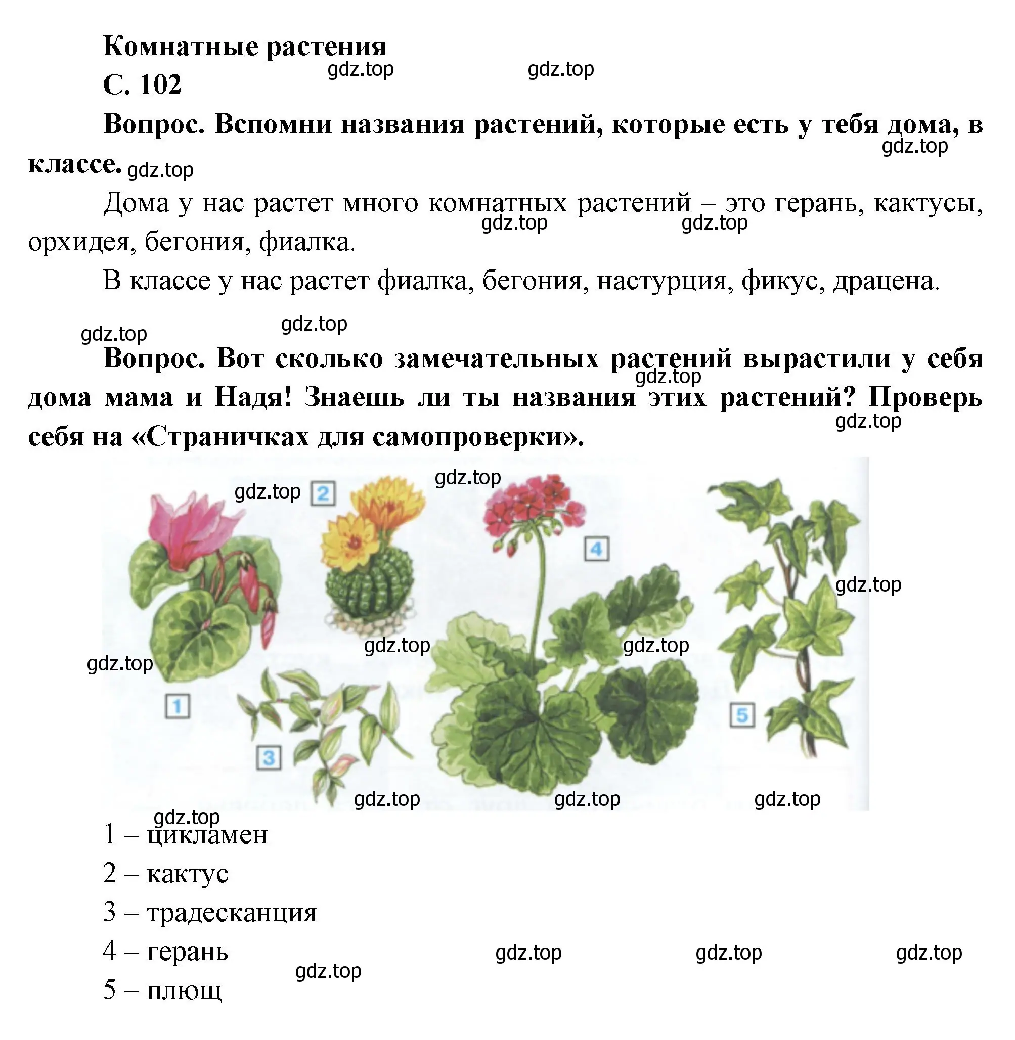 Решение номер 102 (страница 102) гдз по окружающему миру 1 класс Плешаков, учебник 1 часть